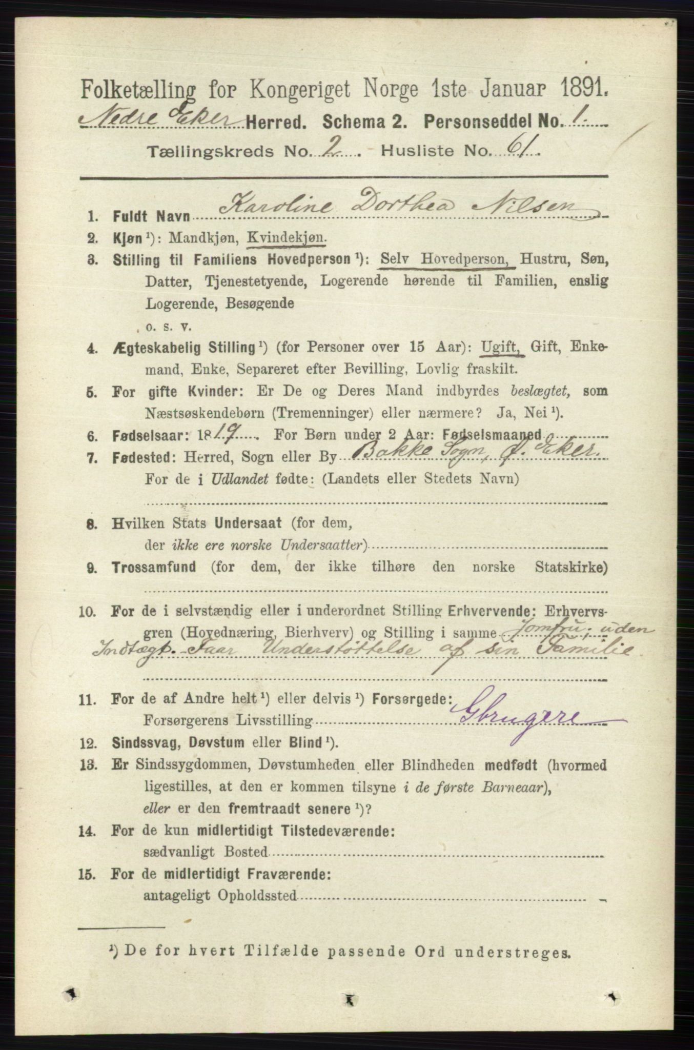 RA, 1891 census for 0625 Nedre Eiker, 1891, p. 878
