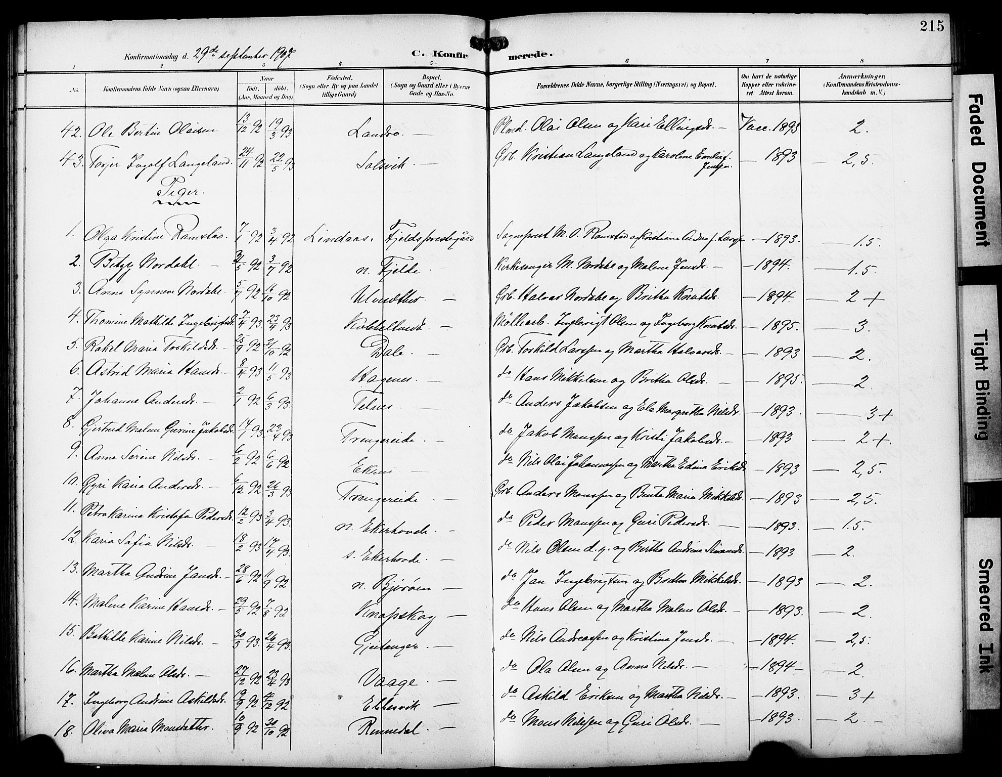 Fjell sokneprestembete, AV/SAB-A-75301/H/Hab: Parish register (copy) no. A 5, 1899-1918, p. 215