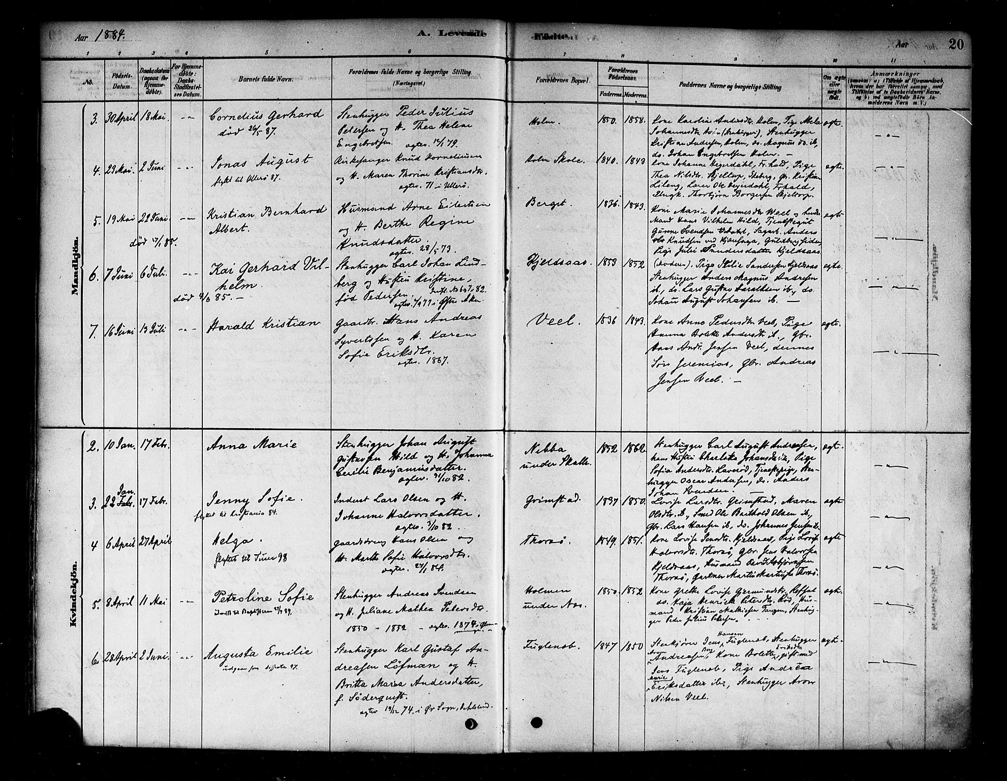 Borge prestekontor Kirkebøker, SAO/A-10903/F/Fb/L0003: Parish register (official) no. II 3, 1878-1902, p. 20