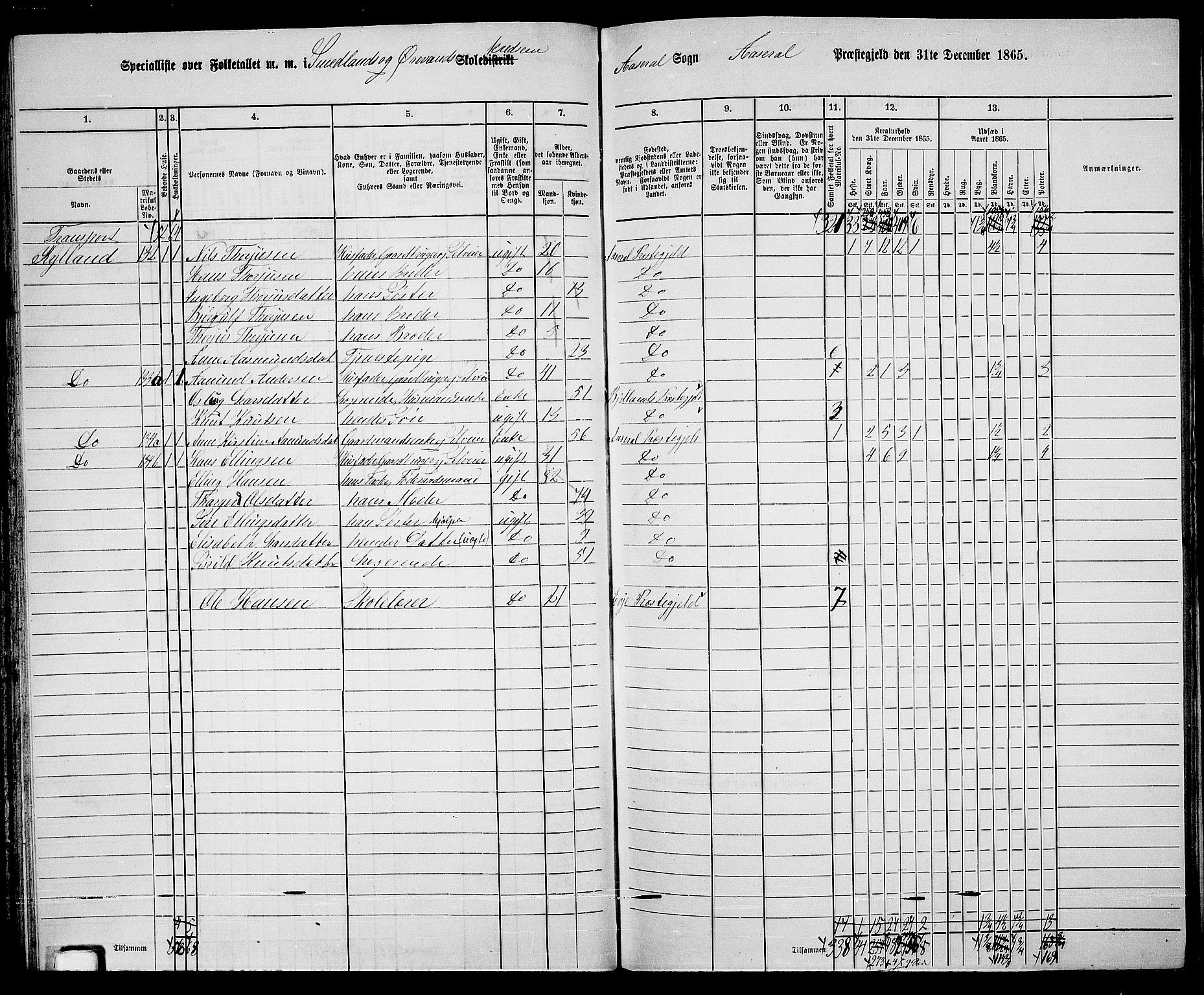 RA, 1865 census for Åseral, 1865, p. 55