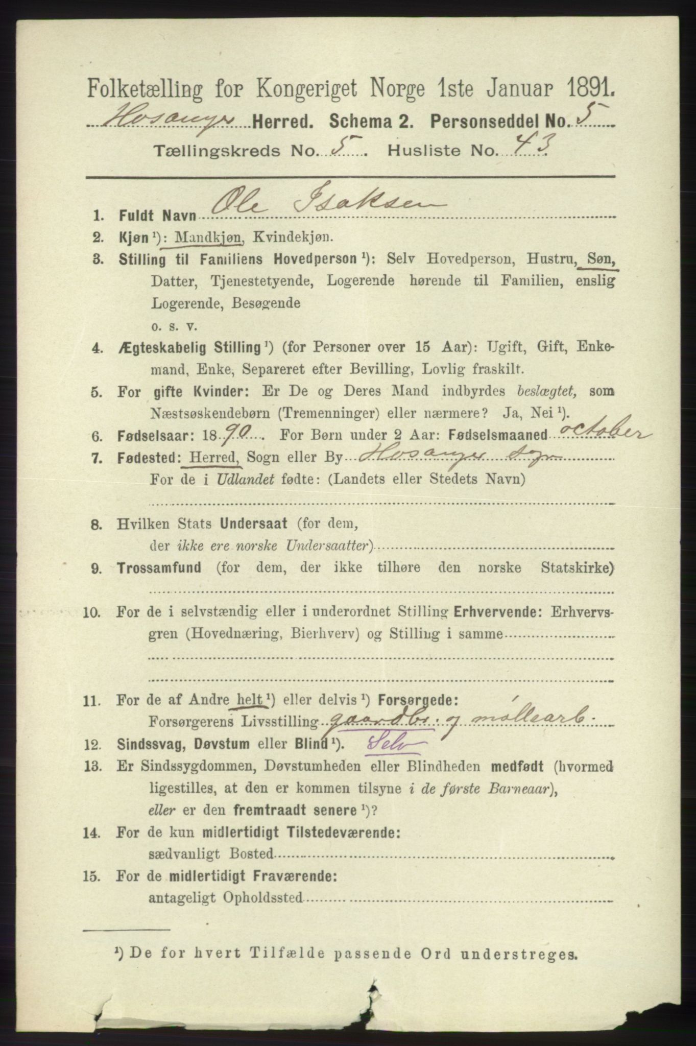RA, 1891 census for 1253 Hosanger, 1891, p. 2094