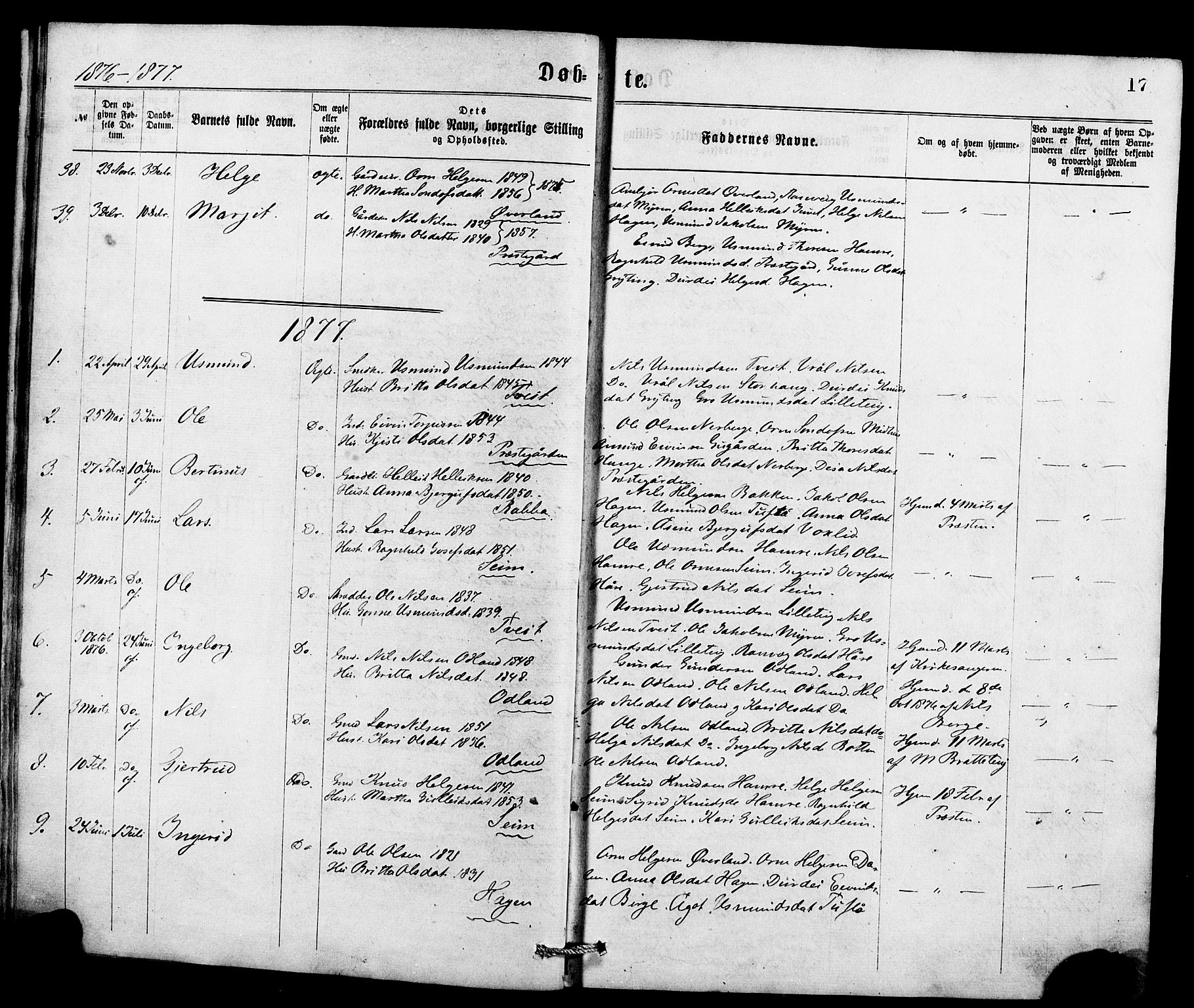 Røldal sokneprestembete, SAB/A-100247: Parish register (official) no. A 4, 1870-1886, p. 17