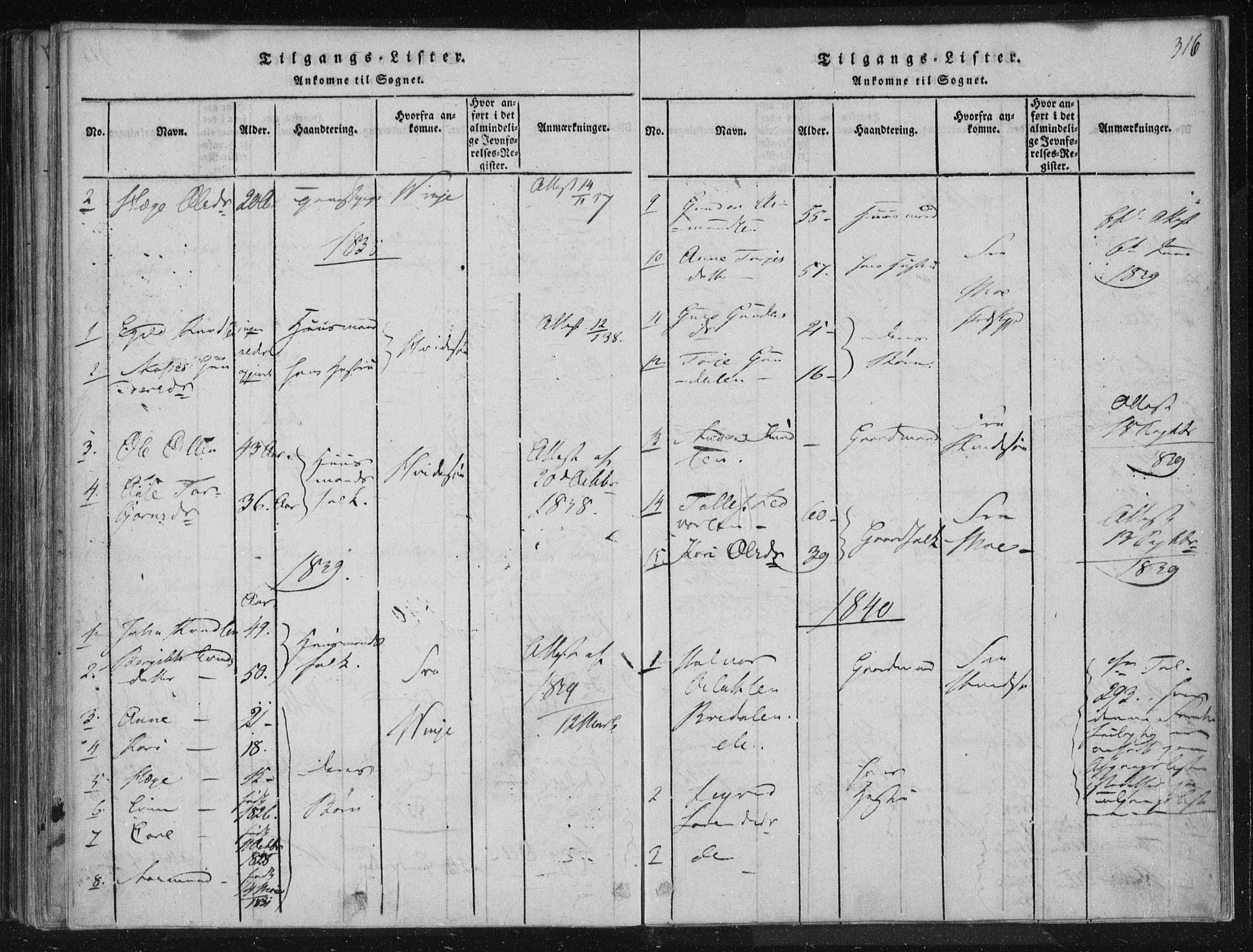 Lårdal kirkebøker, AV/SAKO-A-284/F/Fc/L0001: Parish register (official) no. III 1, 1815-1860, p. 316