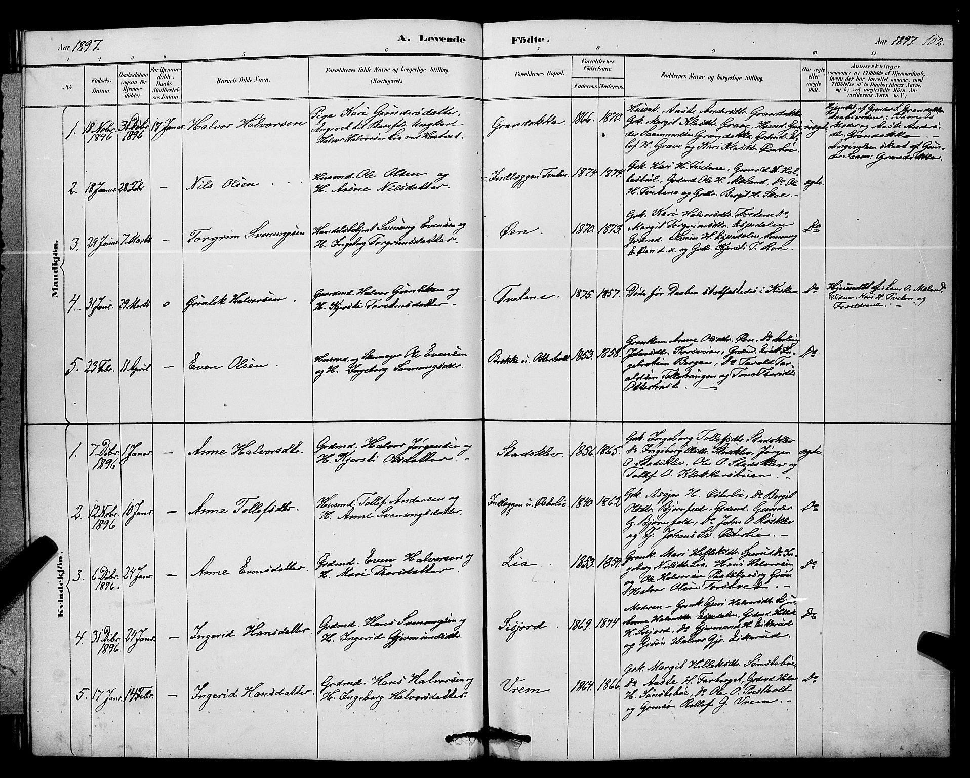 Bø kirkebøker, SAKO/A-257/G/Ga/L0005: Parish register (copy) no. 5, 1883-1897, p. 102