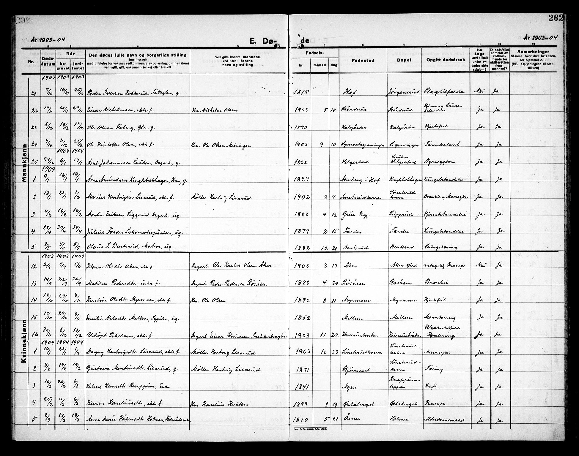 Åsnes prestekontor, SAH/PREST-042/H/Ha/Haa/L0000C: Parish register (official) no. 0A, 1890-1929, p. 262