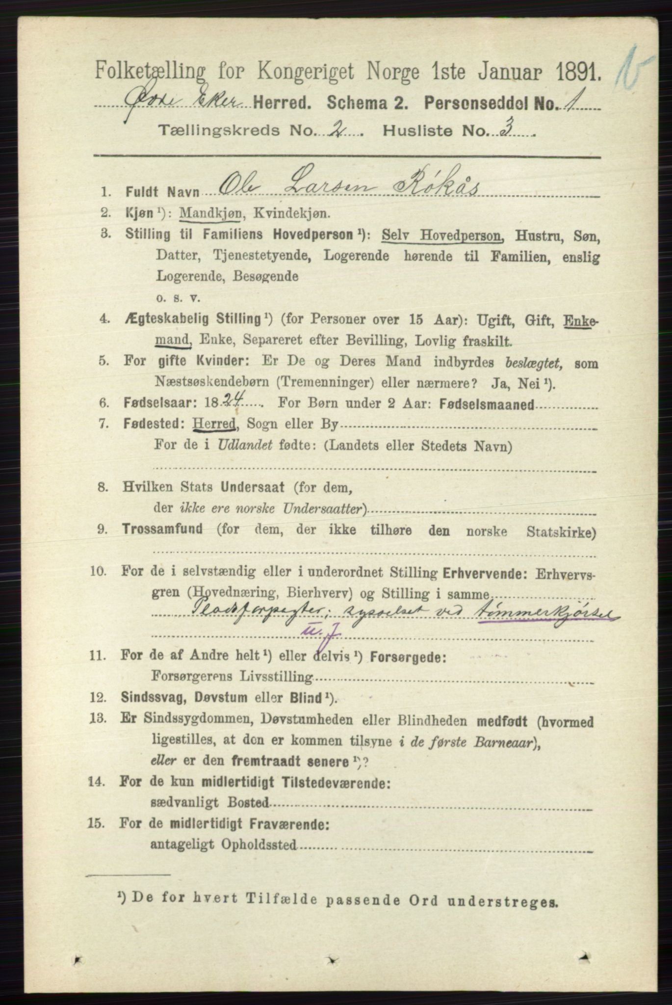 RA, 1891 census for 0624 Øvre Eiker, 1891, p. 8479
