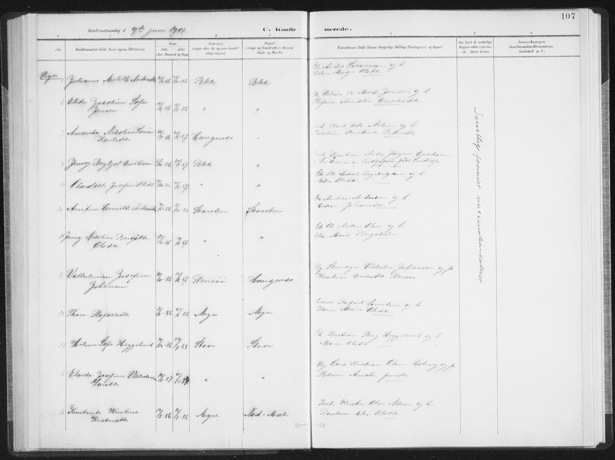 Ministerialprotokoller, klokkerbøker og fødselsregistre - Nordland, AV/SAT-A-1459/897/L1400: Parish register (official) no. 897A07, 1897-1908, p. 107