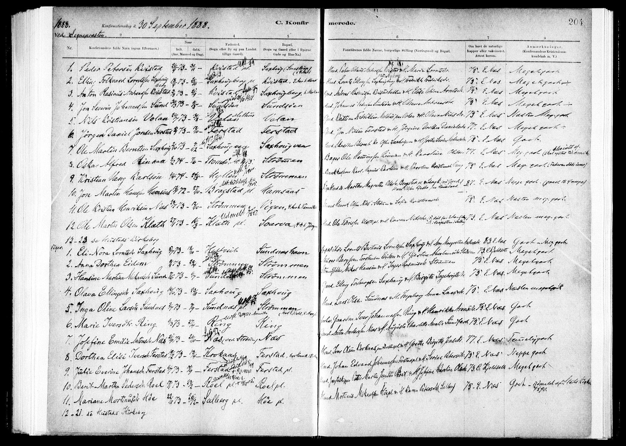 Ministerialprotokoller, klokkerbøker og fødselsregistre - Nord-Trøndelag, SAT/A-1458/730/L0285: Parish register (official) no. 730A10, 1879-1914, p. 204