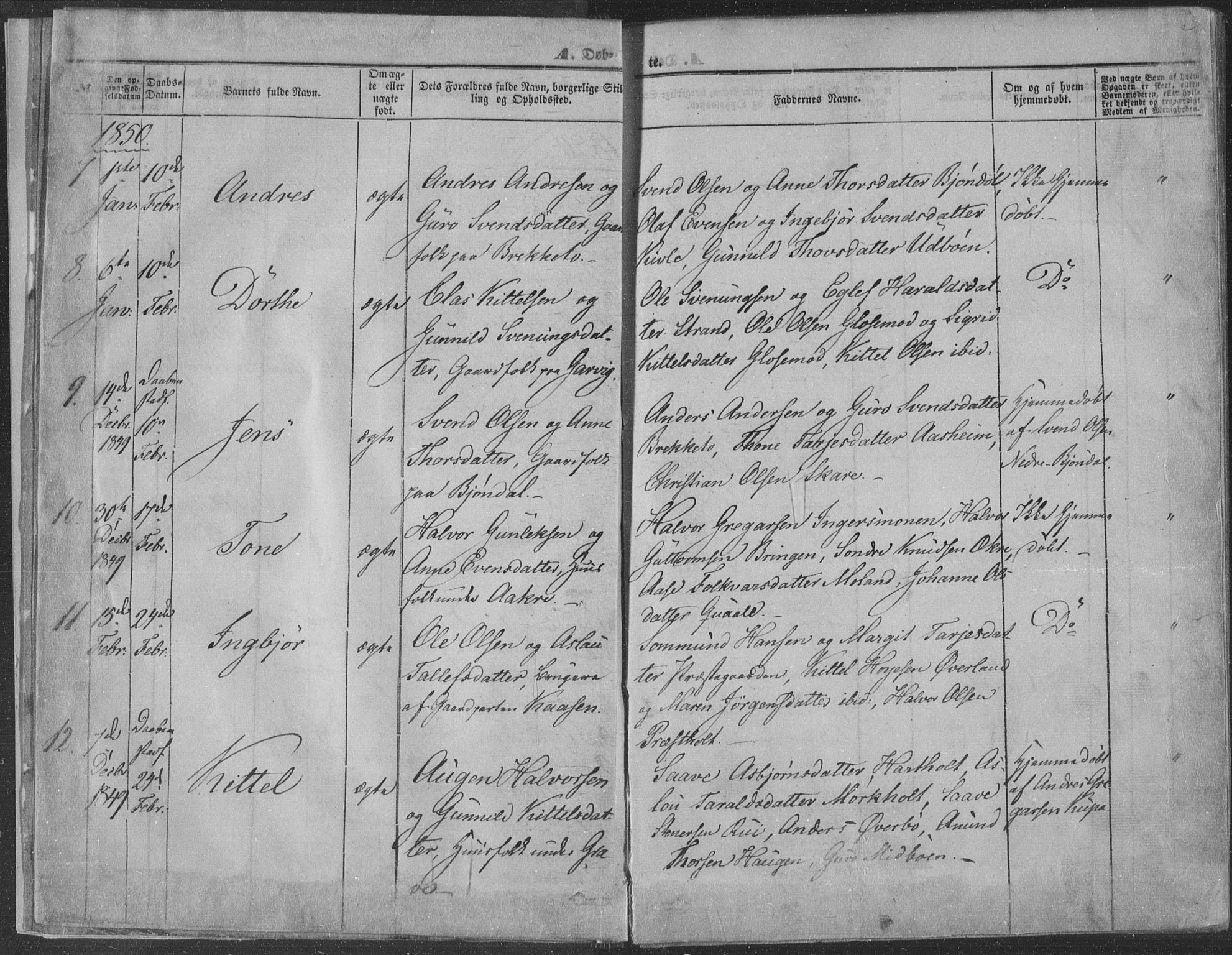 Seljord kirkebøker, AV/SAKO-A-20/F/Fa/L012a: Parish register (official) no. I 12A, 1850-1865, p. 3