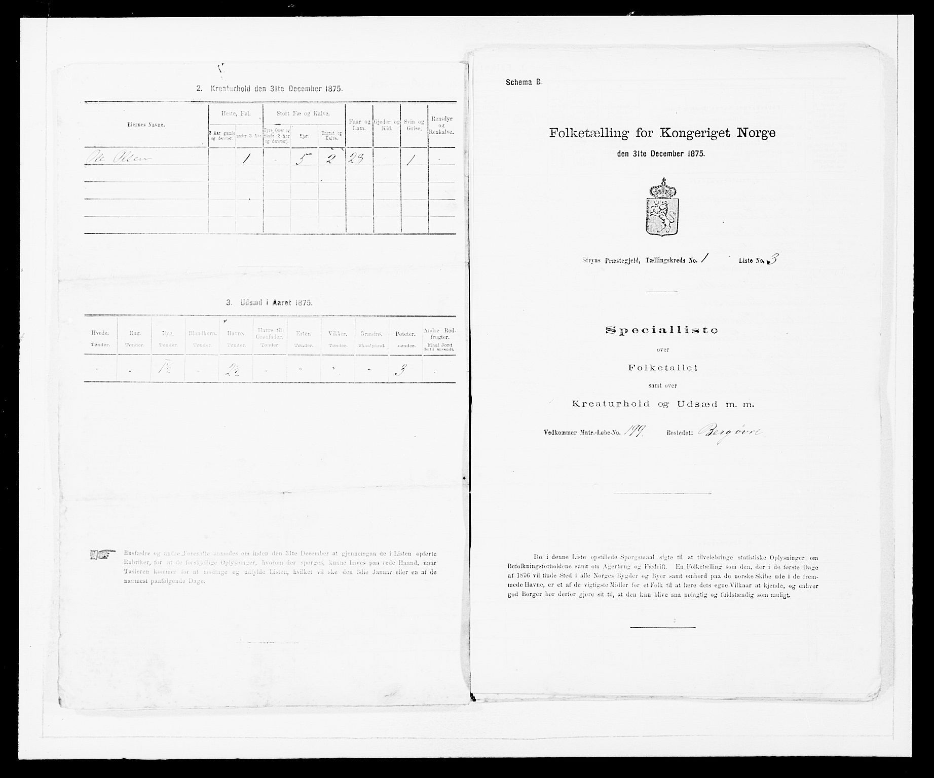 SAB, 1875 Census for 1448P Stryn, 1875, p. 40