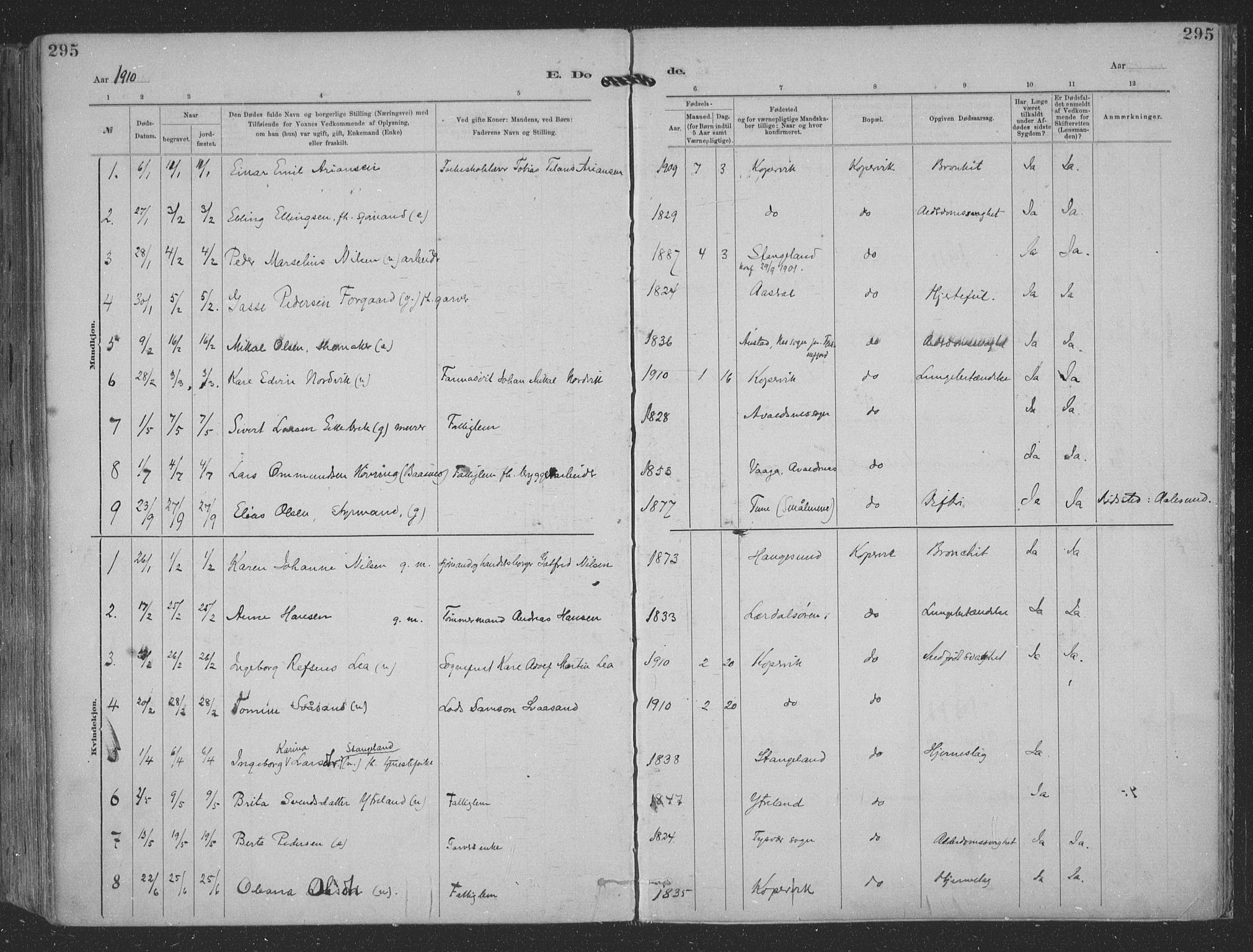 Kopervik sokneprestkontor, AV/SAST-A-101850/H/Ha/Haa/L0001: Parish register (official) no. A 1, 1880-1919, p. 295