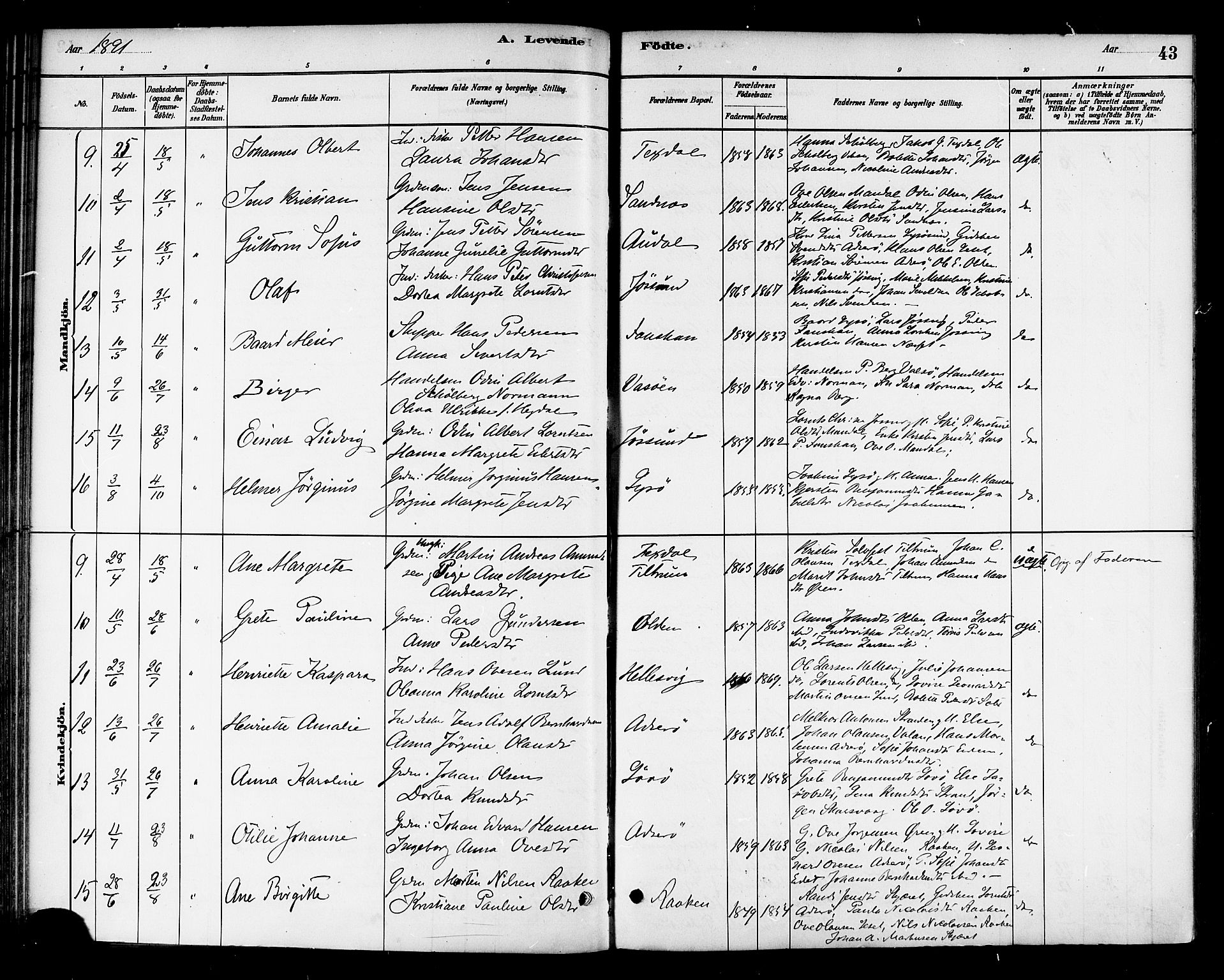 Ministerialprotokoller, klokkerbøker og fødselsregistre - Sør-Trøndelag, SAT/A-1456/654/L0663: Parish register (official) no. 654A01, 1880-1894, p. 43