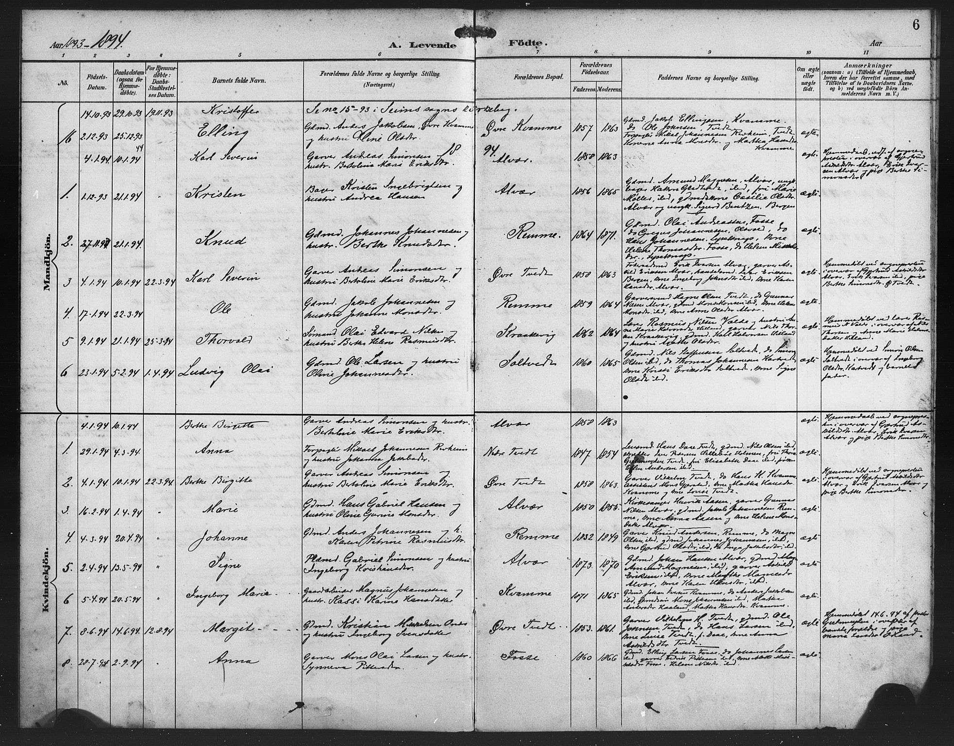 Alversund Sokneprestembete, SAB/A-73901/H/Ha/Haa/Haaa/L0002: Parish register (official) no. A 2, 1893-1896, p. 6