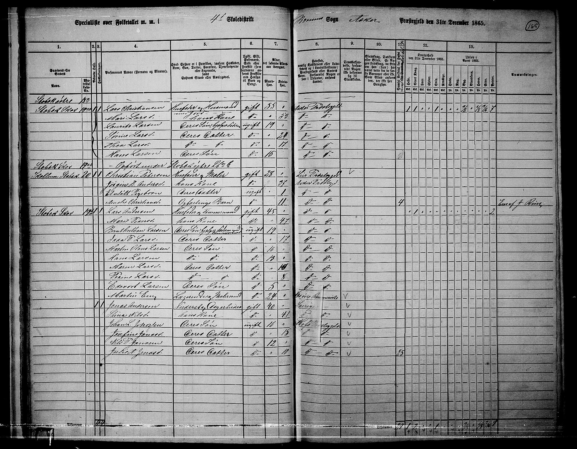 RA, 1865 census for Asker, 1865, p. 162