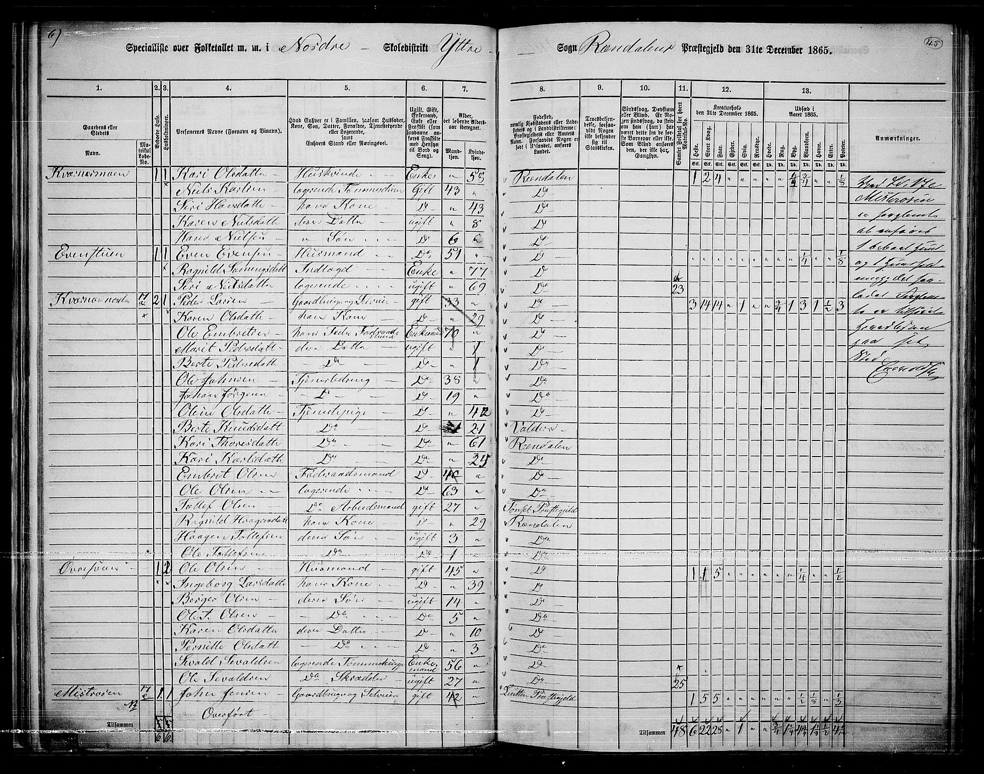 RA, 1865 census for Rendalen, 1865, p. 41