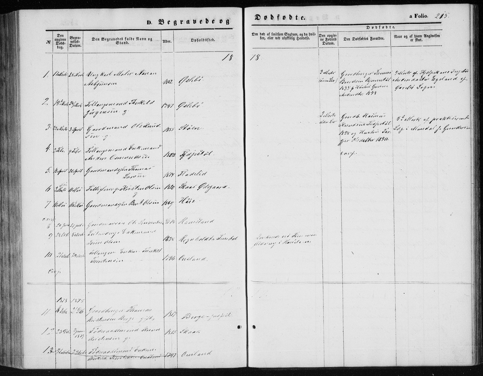 Holum sokneprestkontor, AV/SAK-1111-0022/F/Fb/Fbc/L0002: Parish register (copy) no. B 2, 1860-1882, p. 215