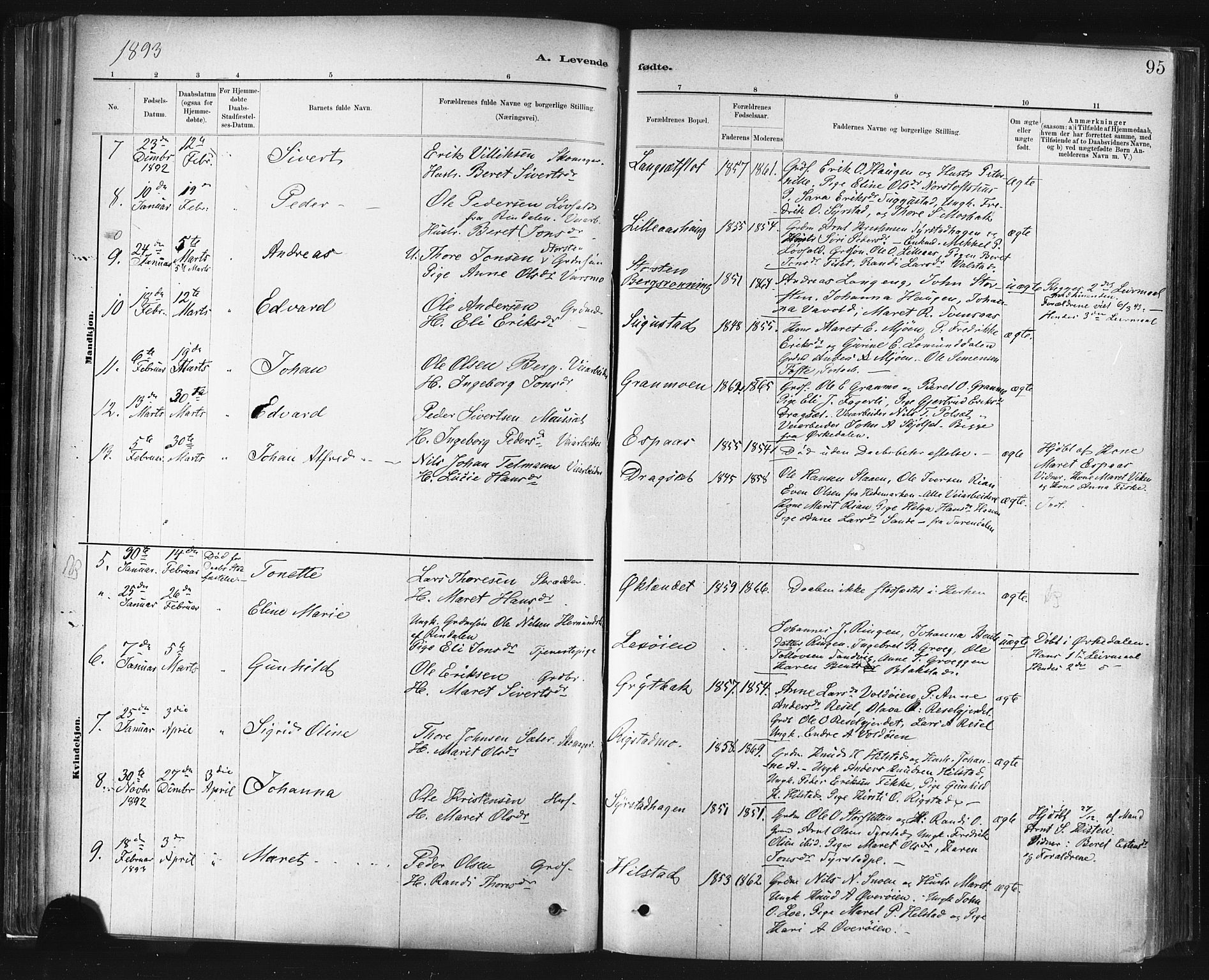 Ministerialprotokoller, klokkerbøker og fødselsregistre - Sør-Trøndelag, SAT/A-1456/672/L0857: Parish register (official) no. 672A09, 1882-1893, p. 95