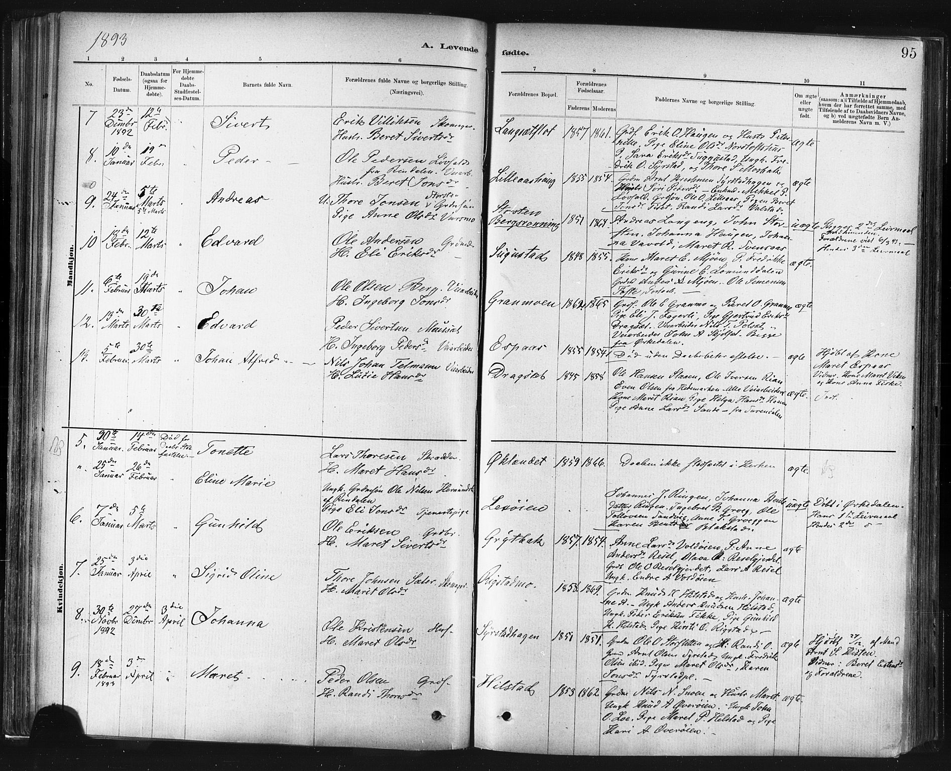 Ministerialprotokoller, klokkerbøker og fødselsregistre - Sør-Trøndelag, AV/SAT-A-1456/672/L0857: Parish register (official) no. 672A09, 1882-1893, p. 95