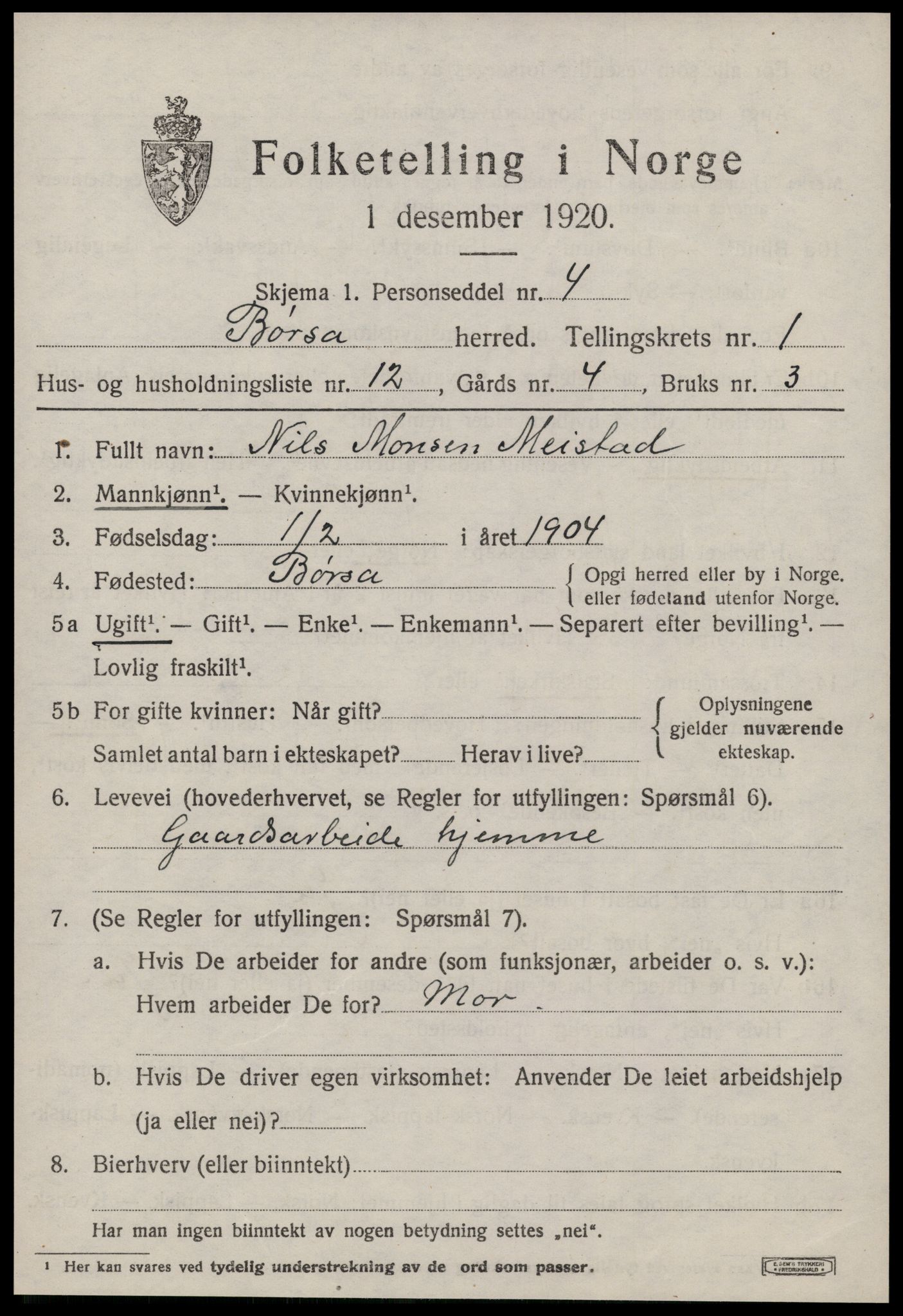 SAT, 1920 census for Børsa, 1920, p. 713