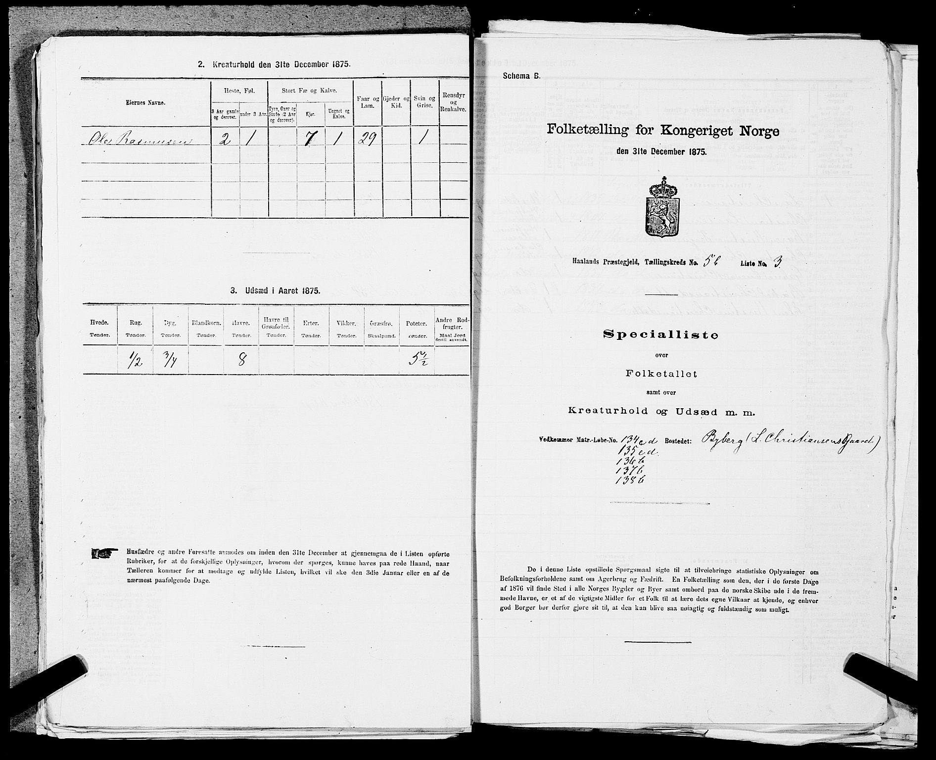 SAST, 1875 census for 1124P Håland, 1875, p. 862