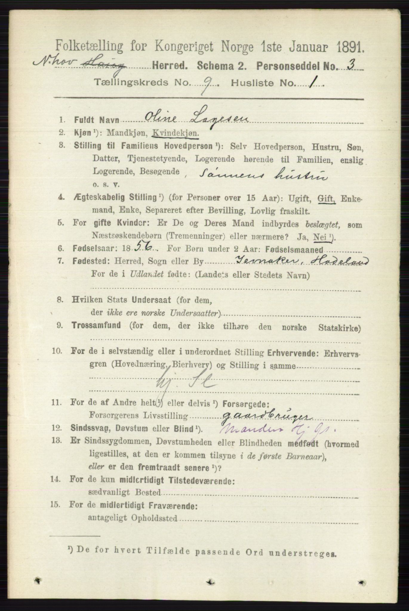 RA, 1891 census for 0613 Norderhov, 1891, p. 6600