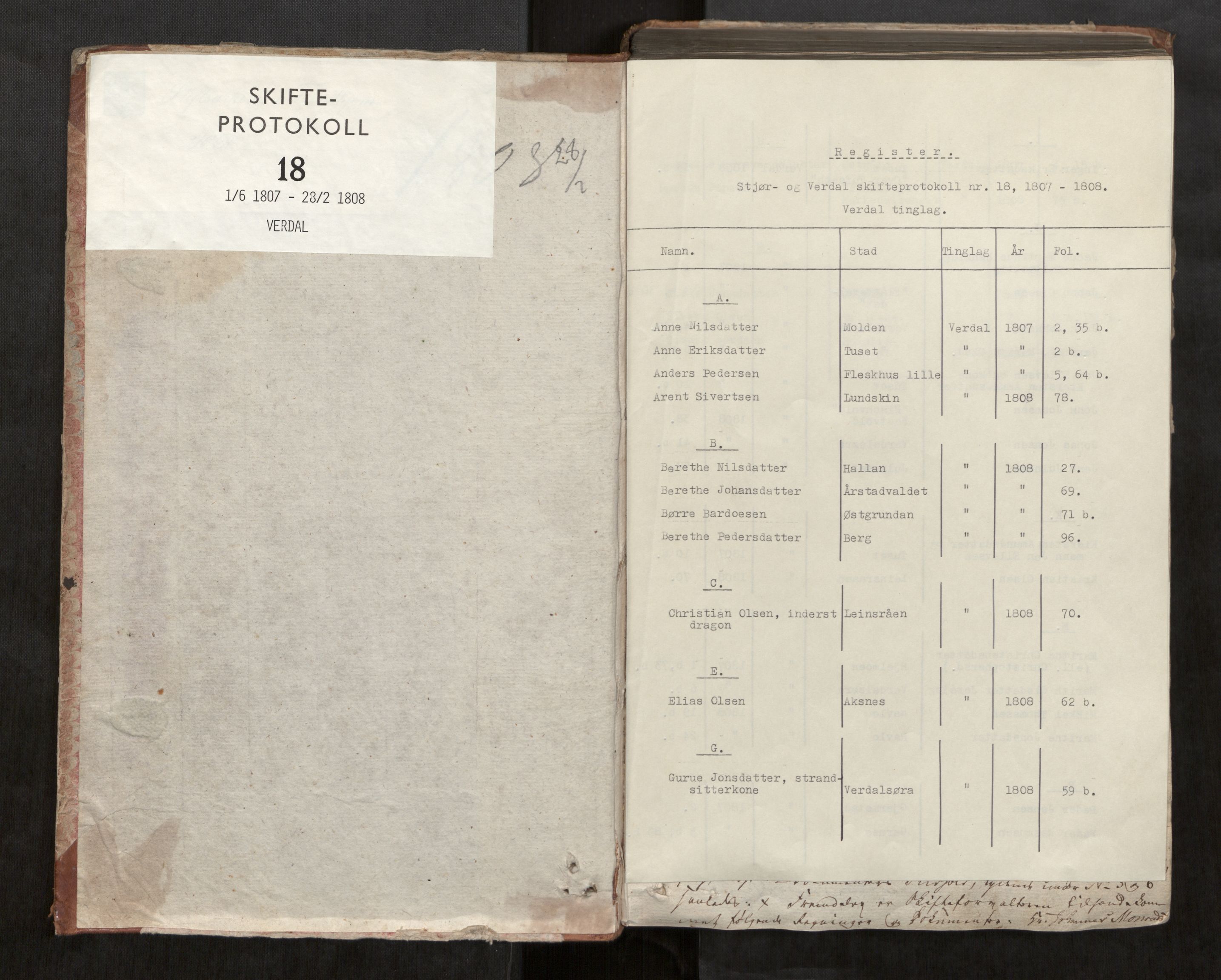 Stjør- og Verdal sorenskriveri, AV/SAT-A-4167/1/3/3A/L0023: Skifteprotokoll 18, 1807-1808