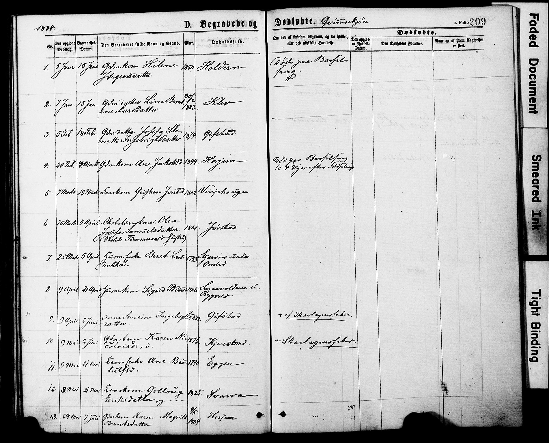 Ministerialprotokoller, klokkerbøker og fødselsregistre - Nord-Trøndelag, AV/SAT-A-1458/749/L0473: Parish register (official) no. 749A07, 1873-1887, p. 209