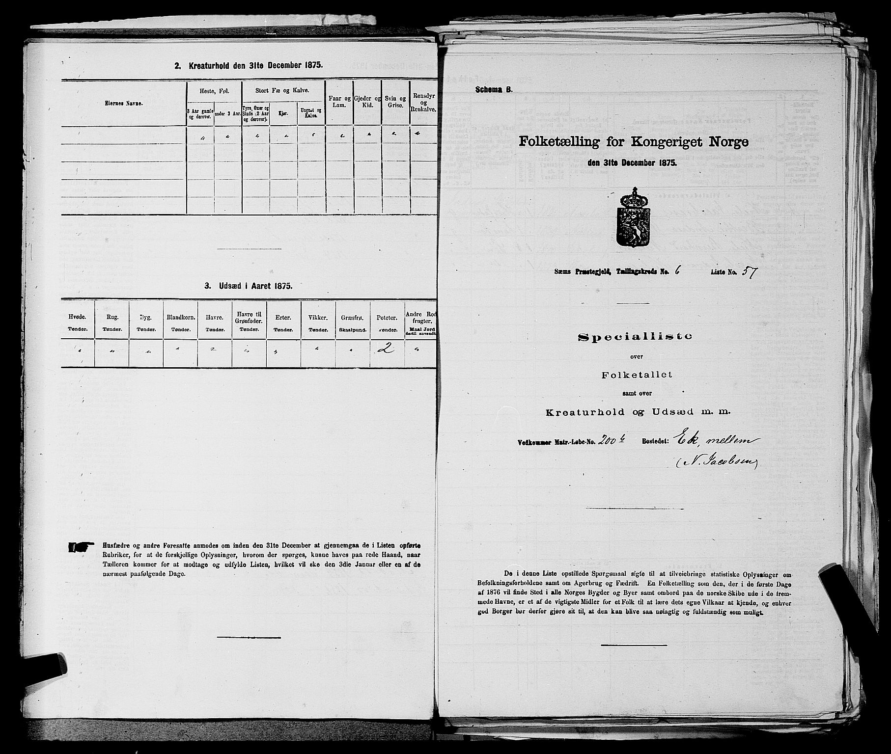 SAKO, 1875 census for 0721P Sem, 1875, p. 777