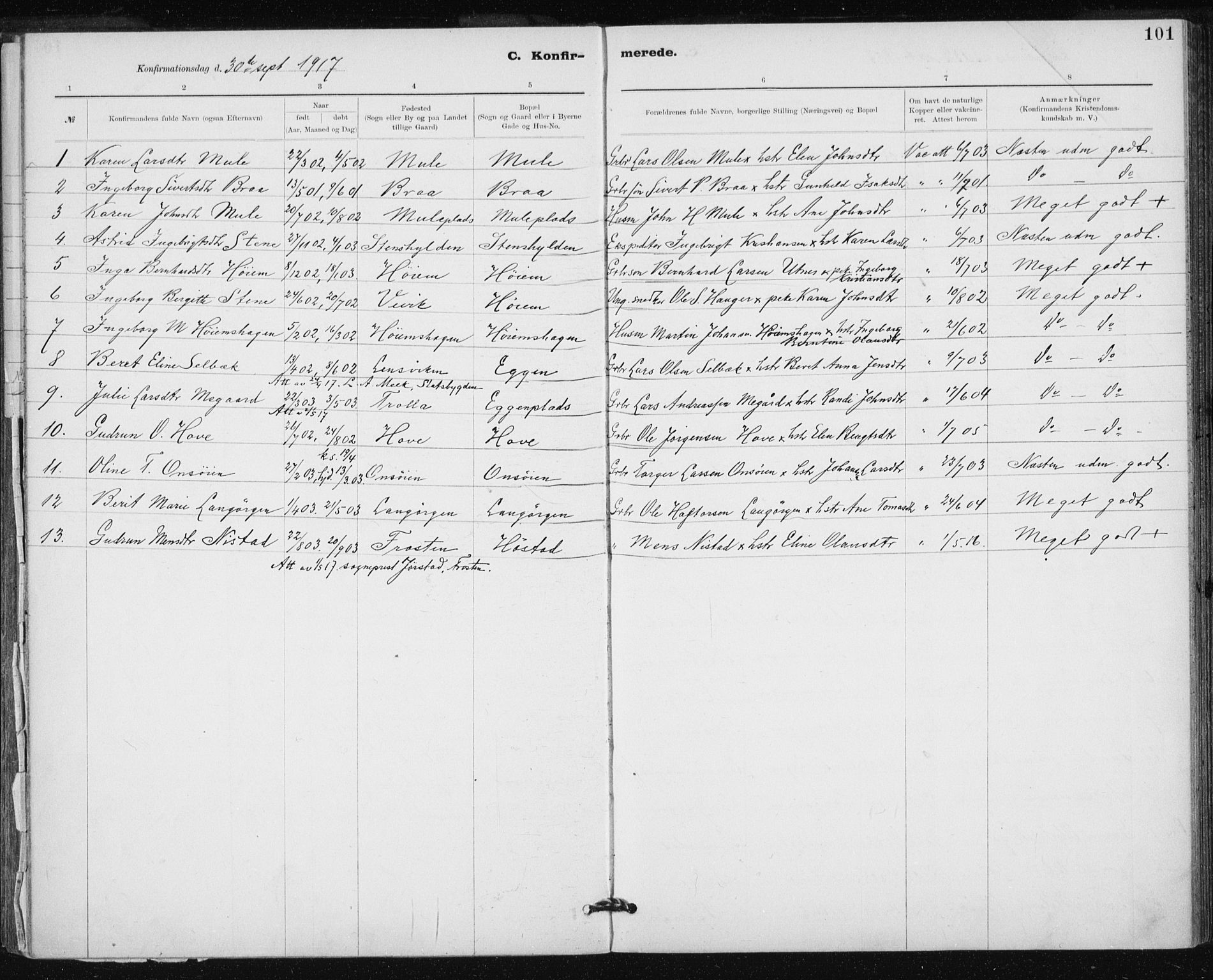 Ministerialprotokoller, klokkerbøker og fødselsregistre - Sør-Trøndelag, AV/SAT-A-1456/612/L0381: Parish register (official) no. 612A13, 1907-1923, p. 101