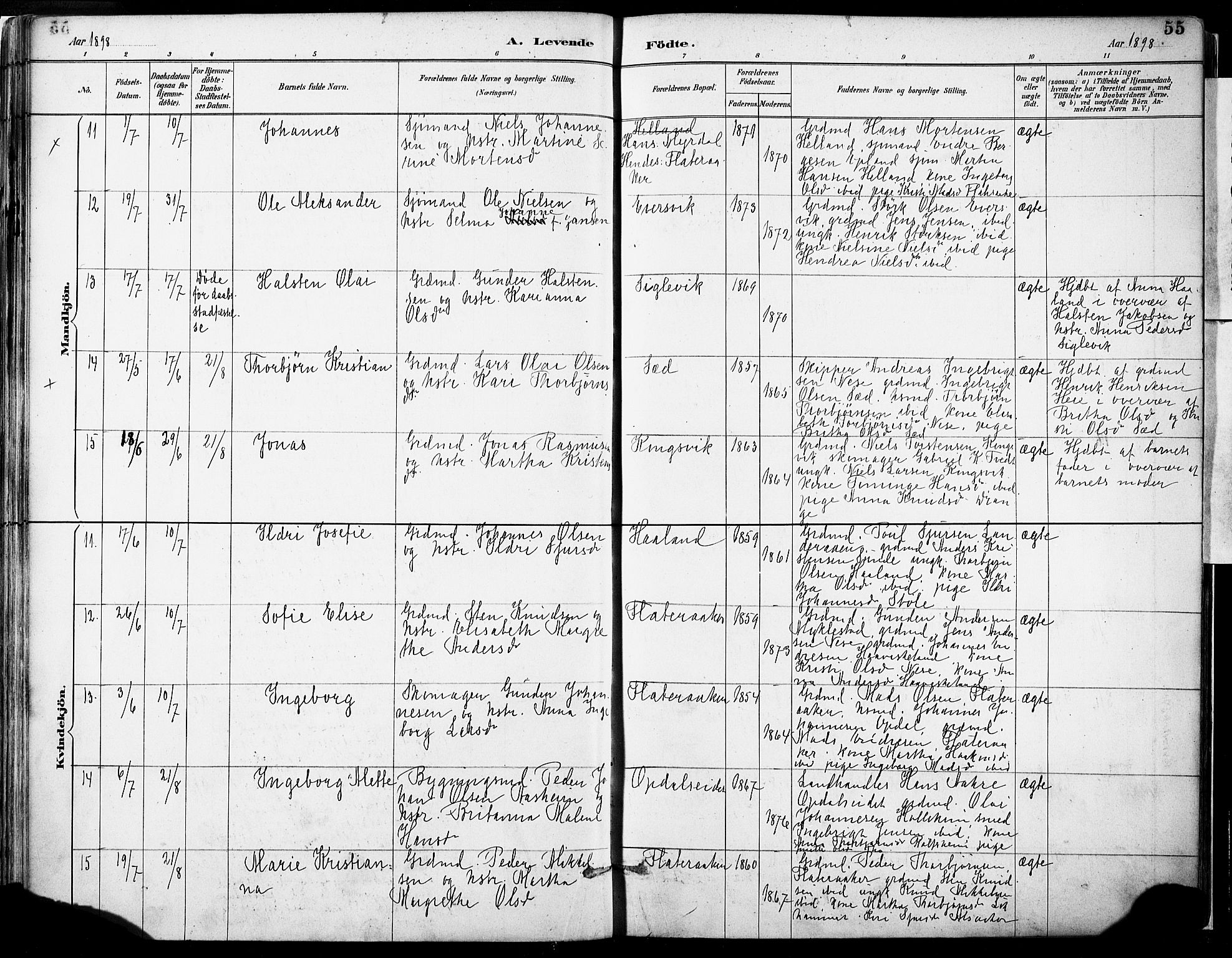 Tysnes sokneprestembete, AV/SAB-A-78601/H/Haa: Parish register (official) no. D 1, 1887-1904, p. 55