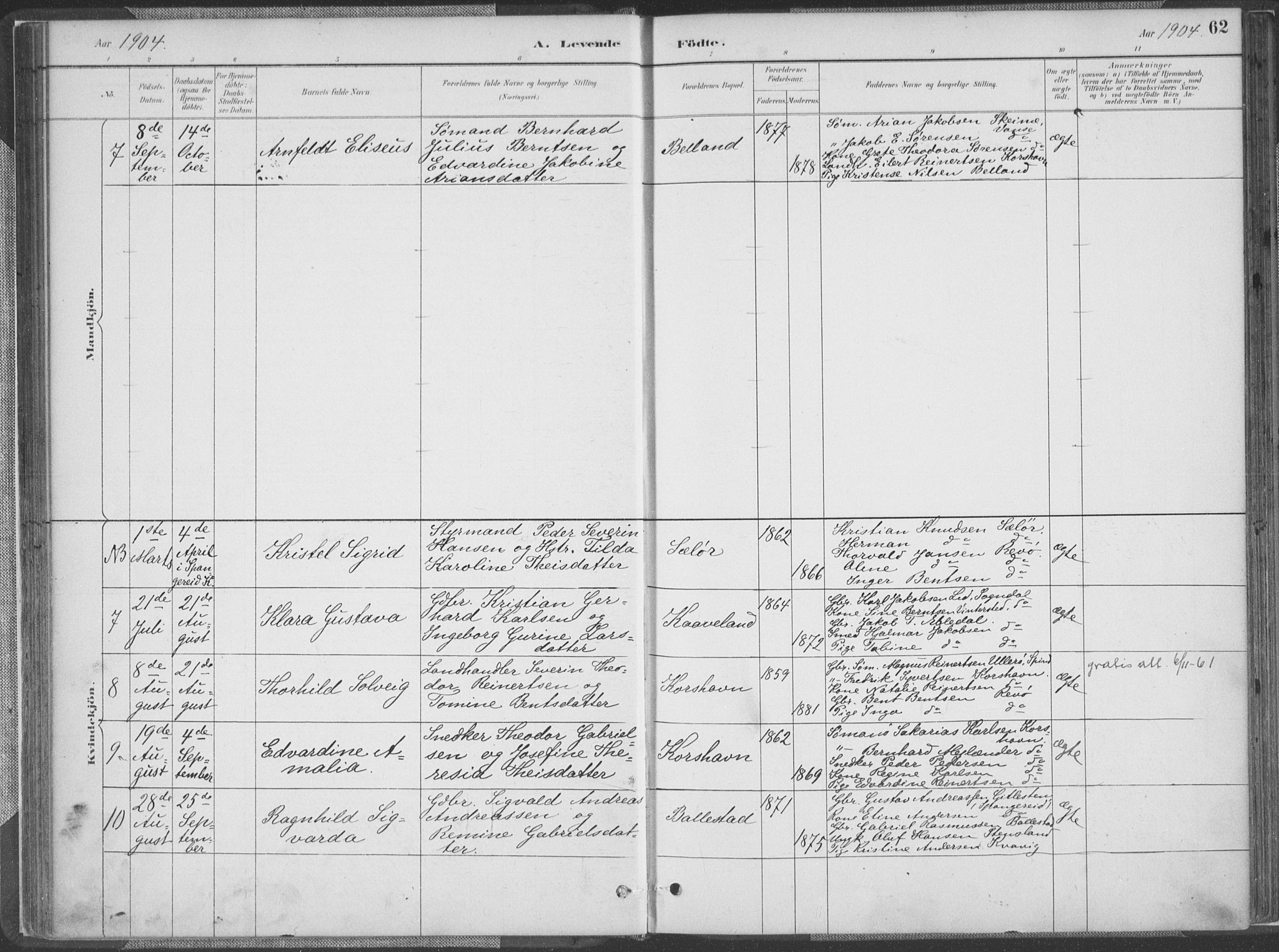 Lyngdal sokneprestkontor, AV/SAK-1111-0029/F/Fa/Faa/L0004: Parish register (official) no. A 4, 1883-1904, p. 62