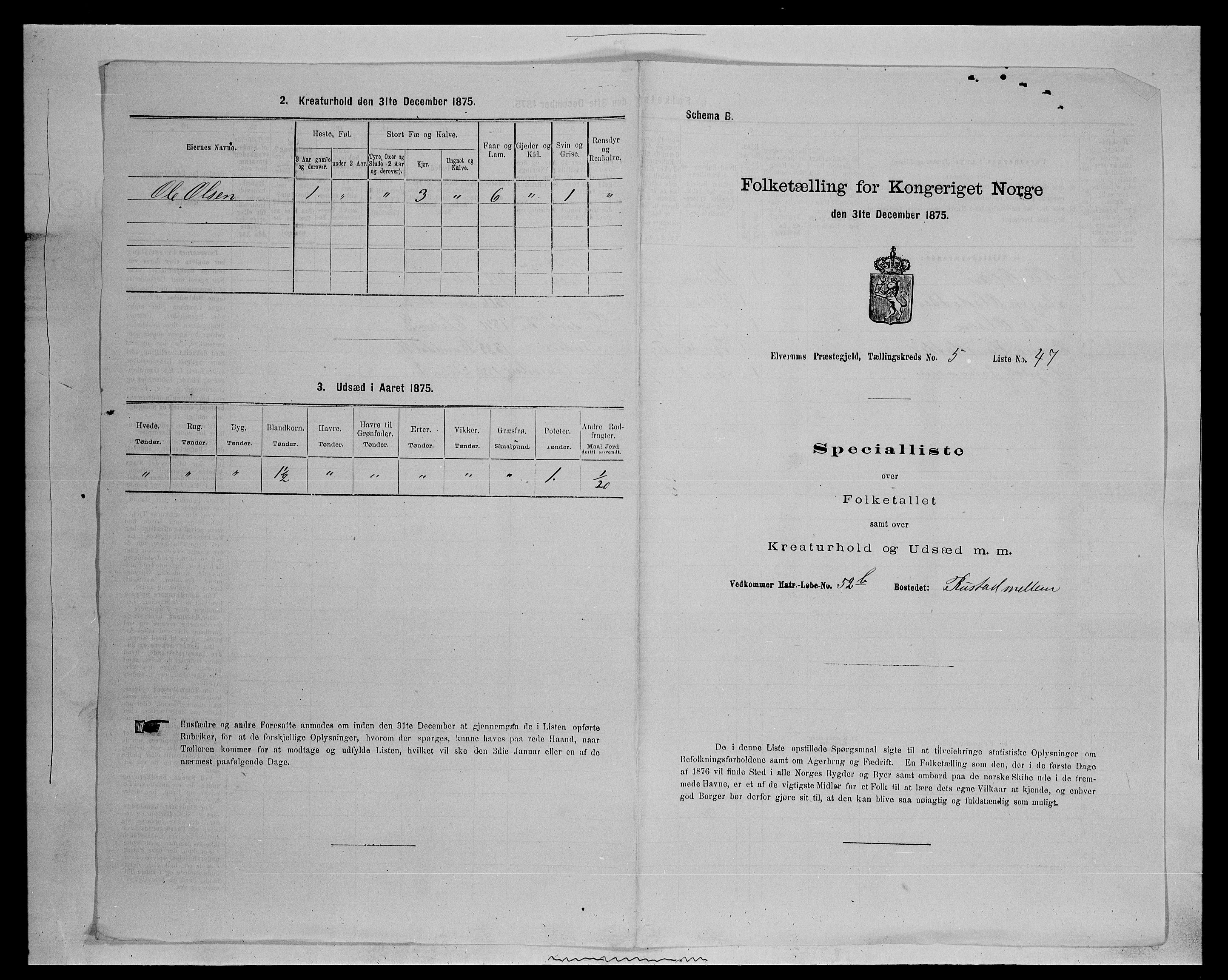 SAH, 1875 census for 0427P Elverum, 1875, p. 1317