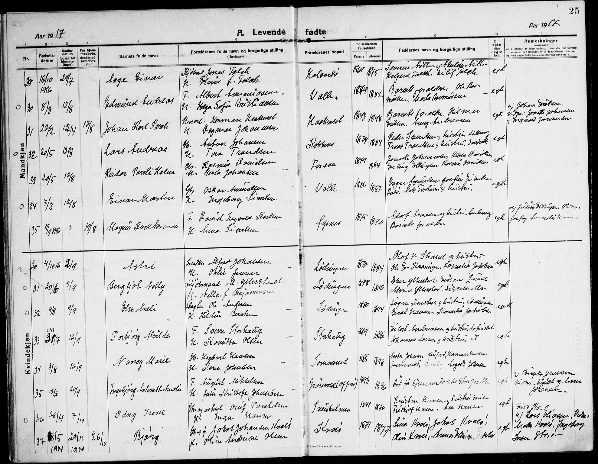 Ministerialprotokoller, klokkerbøker og fødselsregistre - Nordland, AV/SAT-A-1459/872/L1037: Parish register (official) no. 872A12, 1914-1925, p. 25