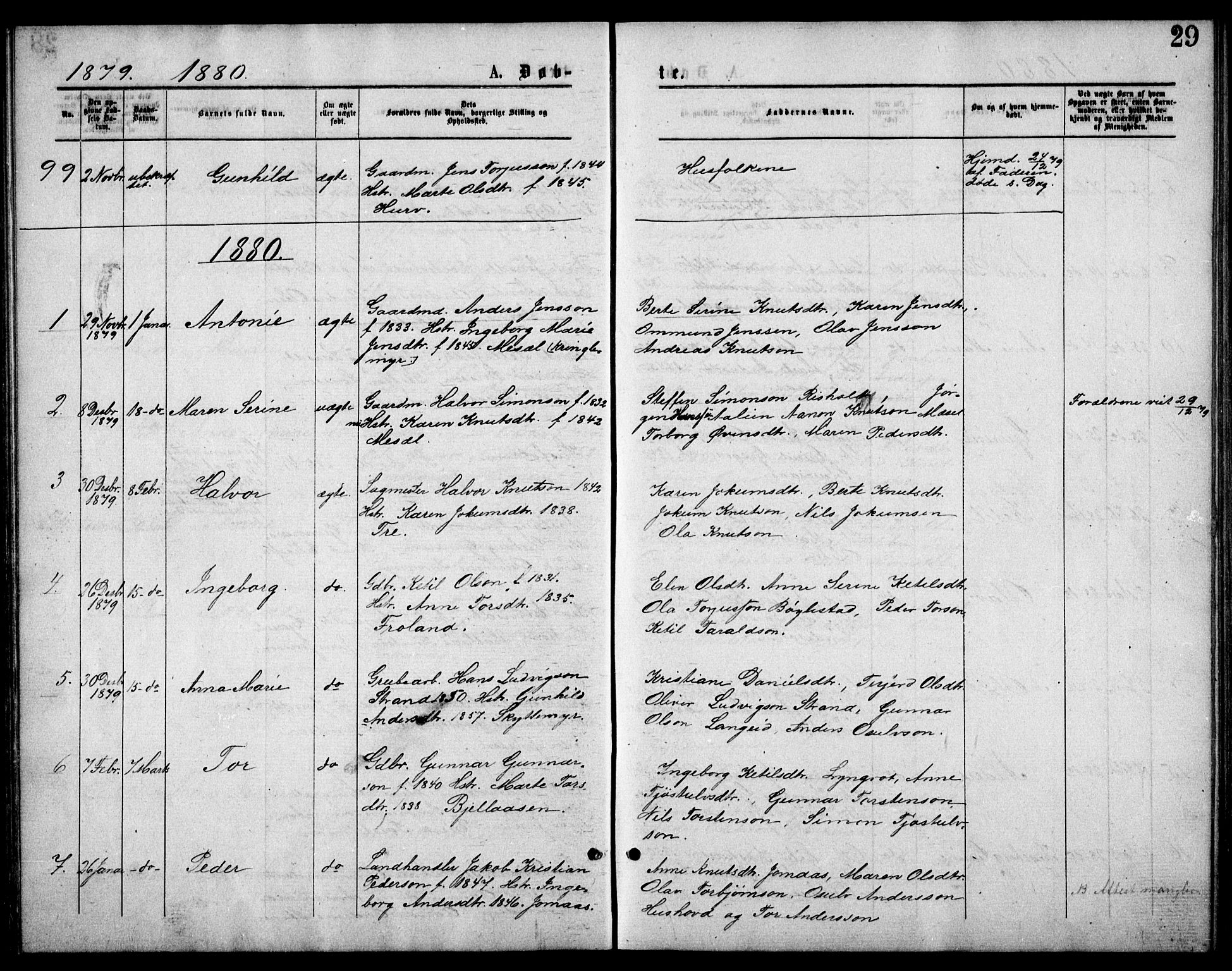 Froland sokneprestkontor, AV/SAK-1111-0013/F/Fb/L0009: Parish register (copy) no. B 9, 1875-1893, p. 29