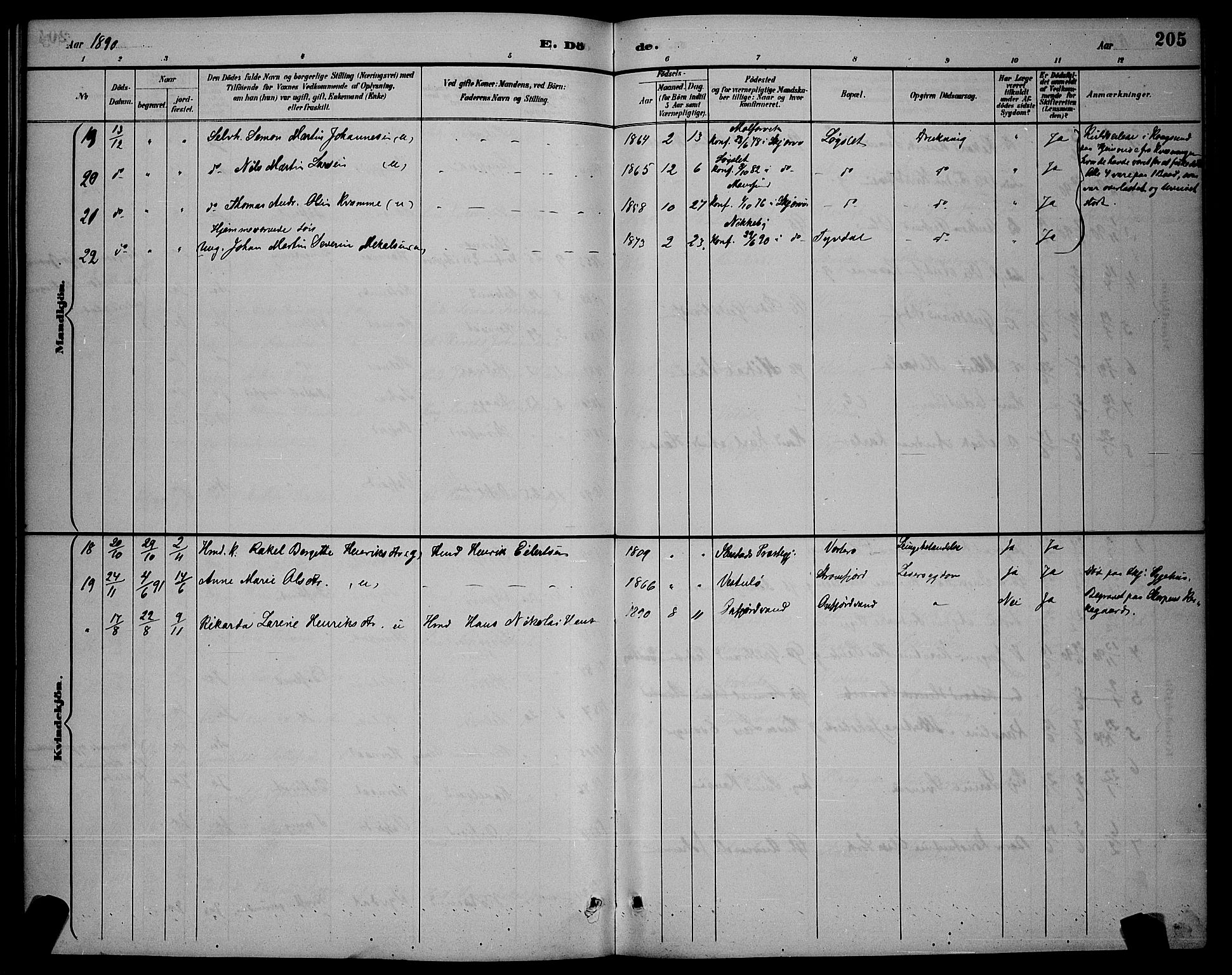 Skjervøy sokneprestkontor, AV/SATØ-S-1300/H/Ha/Hab/L0007klokker: Parish register (copy) no. 7, 1889-1899, p. 205