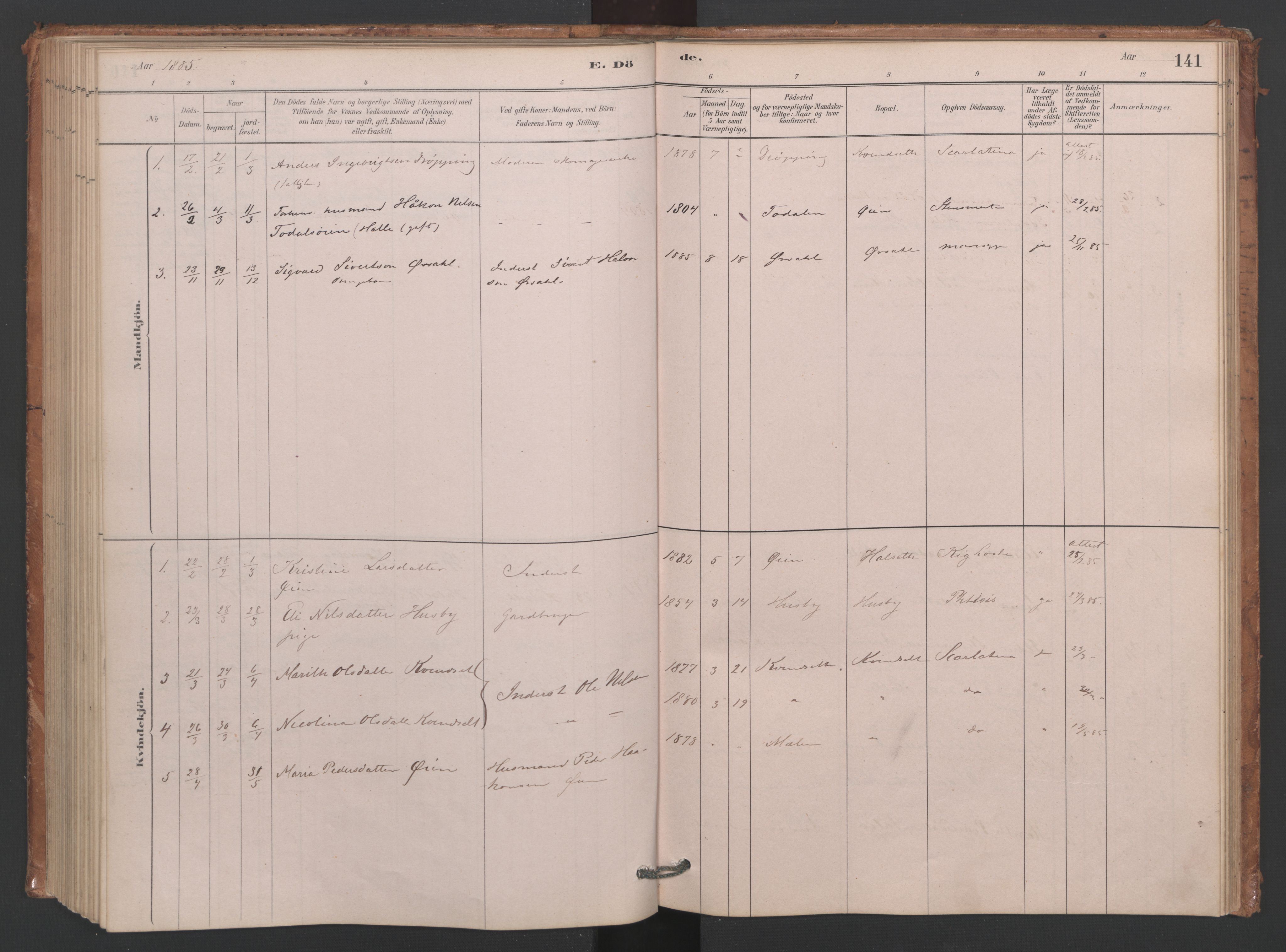 Ministerialprotokoller, klokkerbøker og fødselsregistre - Møre og Romsdal, SAT/A-1454/593/L1034: Parish register (official) no. 593A01, 1879-1911, p. 141