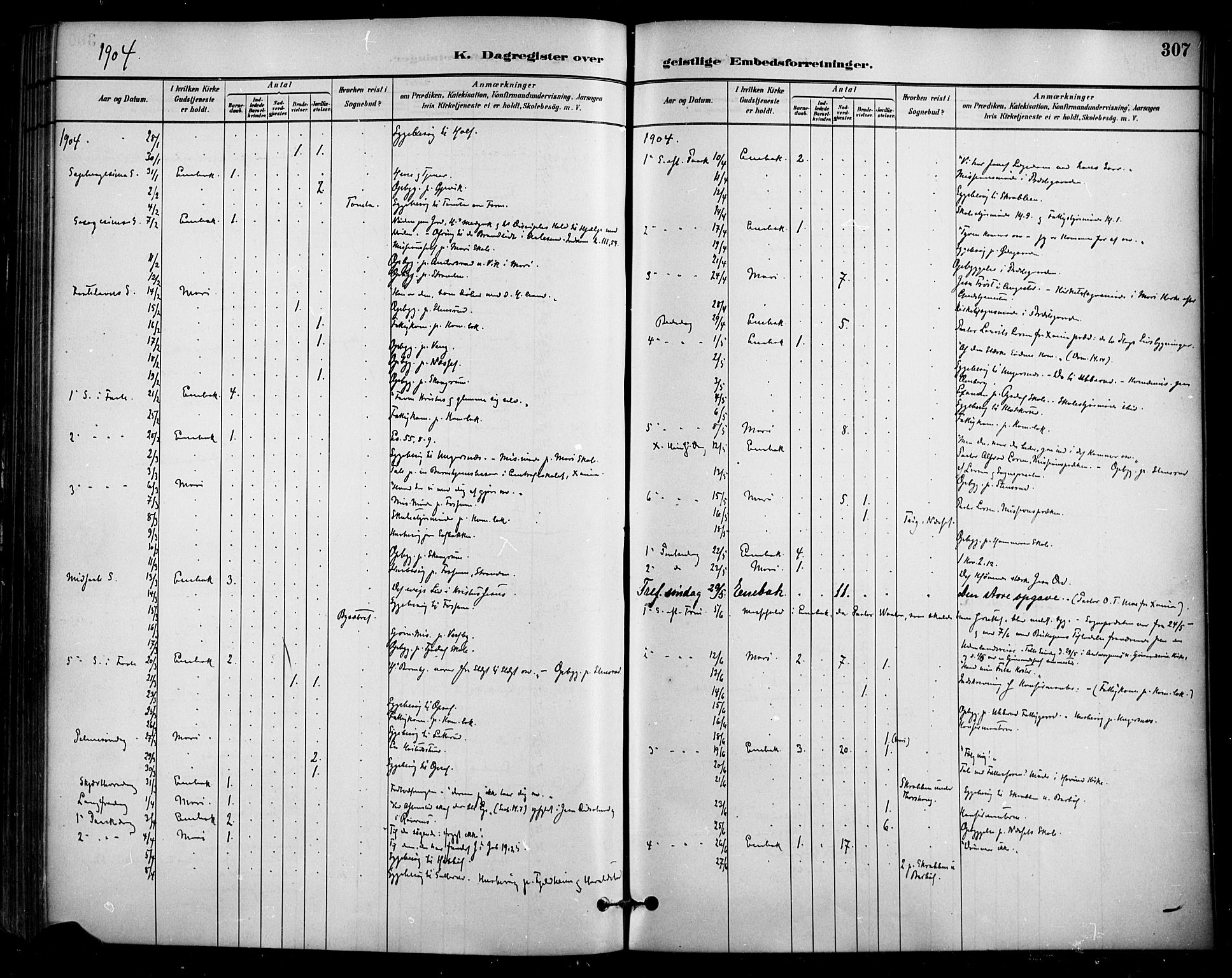 Enebakk prestekontor Kirkebøker, SAO/A-10171c/F/Fa/L0016: Parish register (official) no. I 16, 1883-1898, p. 307