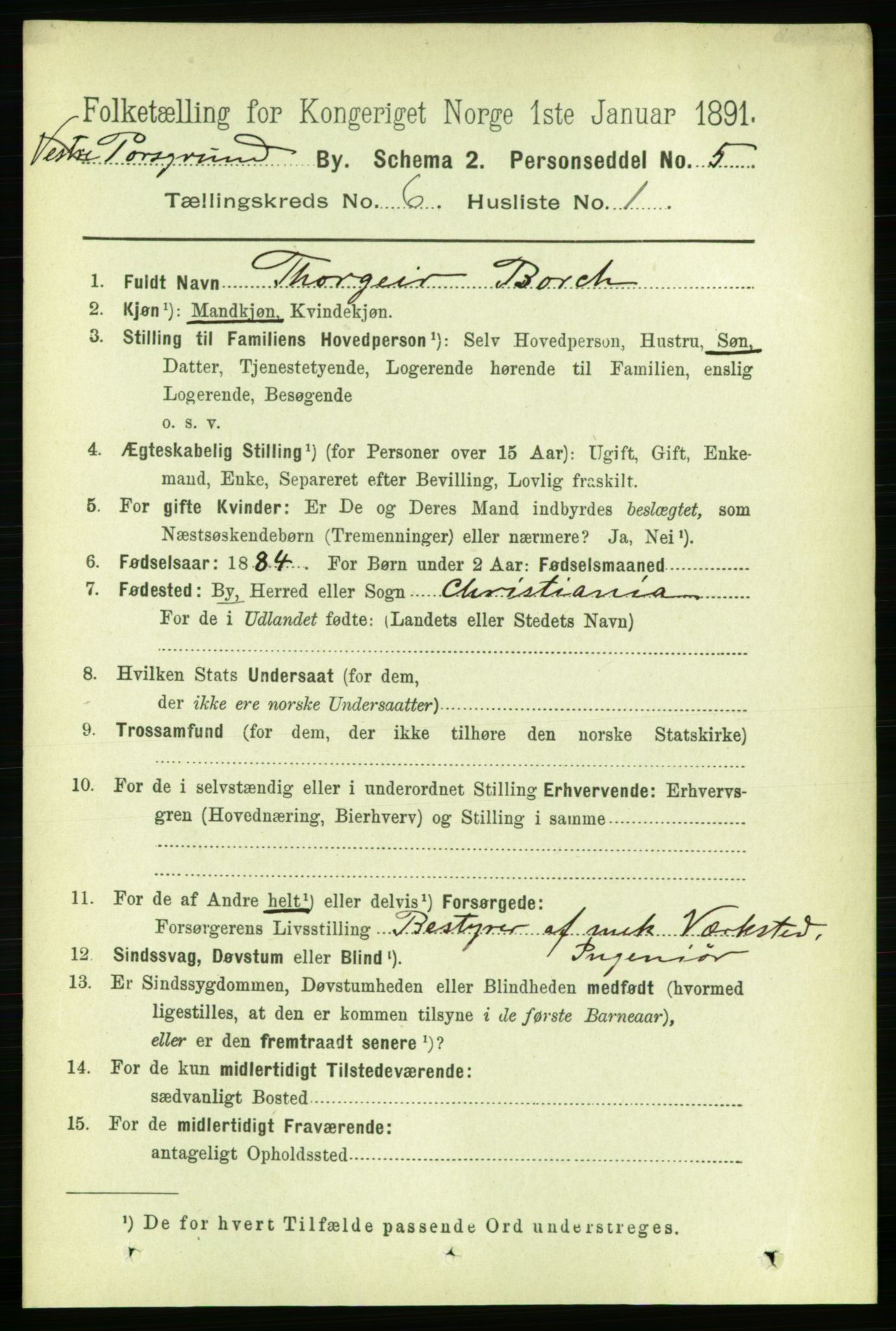 RA, 1891 census for 0805 Porsgrunn, 1891, p. 5103