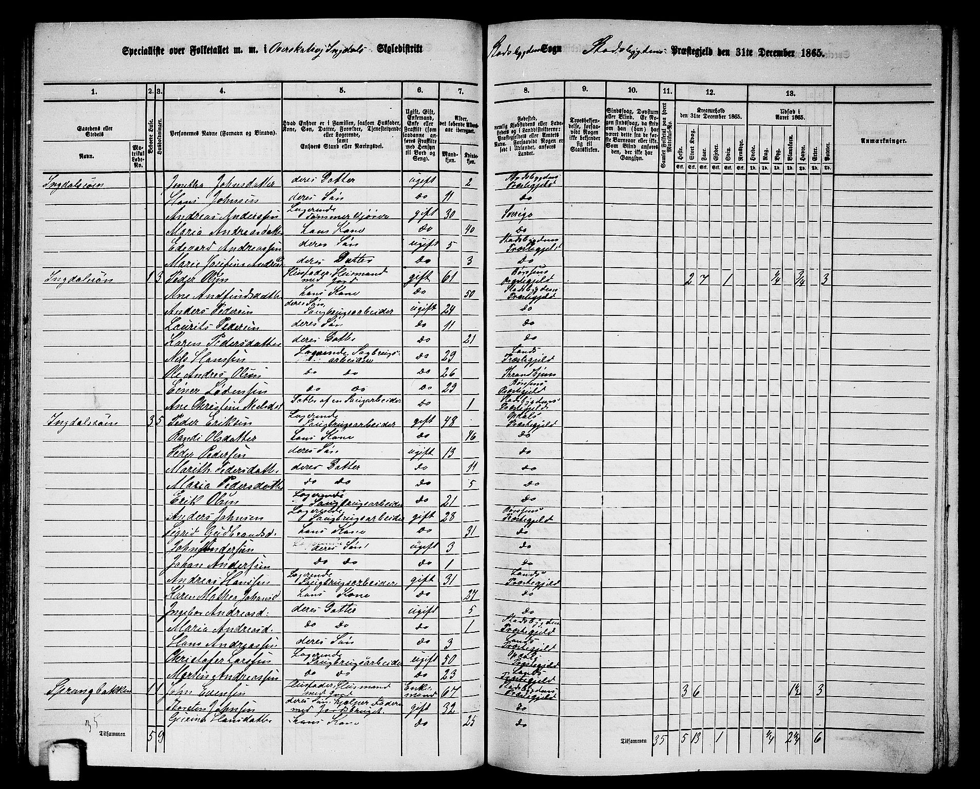 RA, 1865 census for Stadsbygd, 1865, p. 71