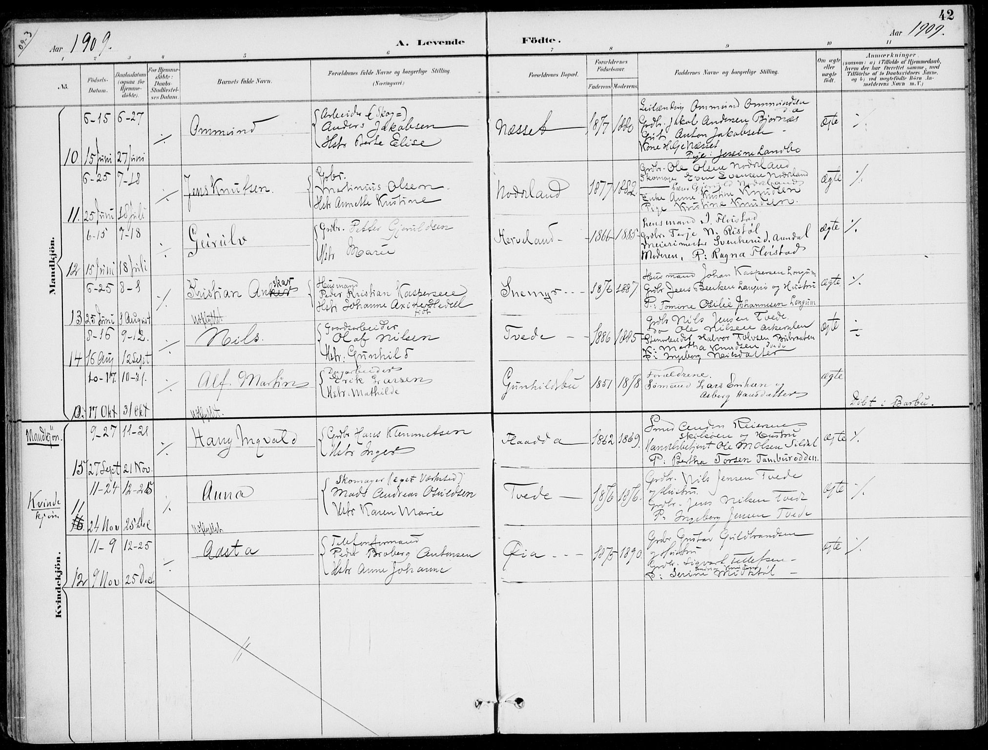 Austre Moland sokneprestkontor, AV/SAK-1111-0001/F/Fa/Faa/L0011: Parish register (official) no. A 11, 1894-1915, p. 42