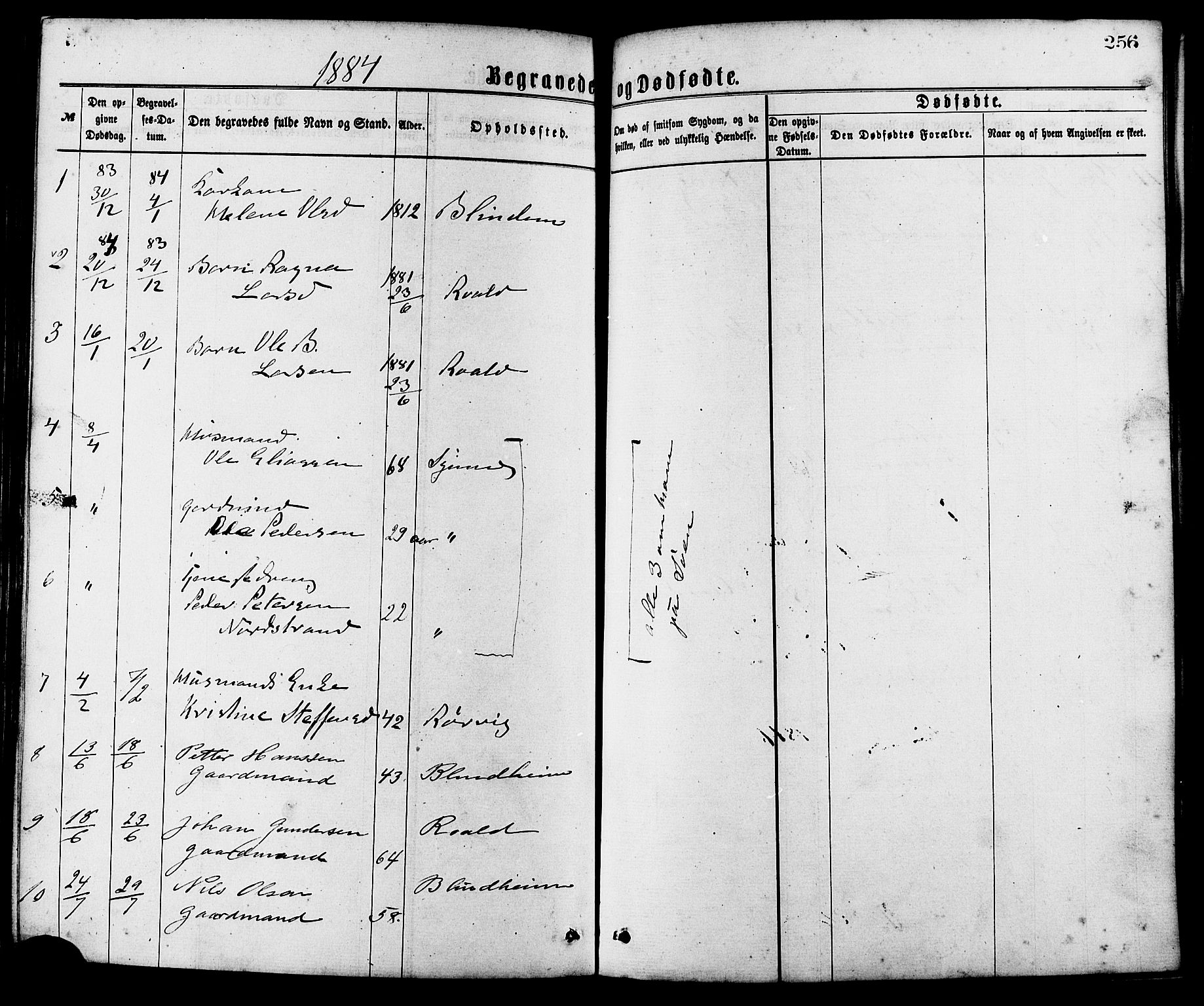 Ministerialprotokoller, klokkerbøker og fødselsregistre - Møre og Romsdal, AV/SAT-A-1454/537/L0519: Parish register (official) no. 537A03, 1876-1889, p. 256