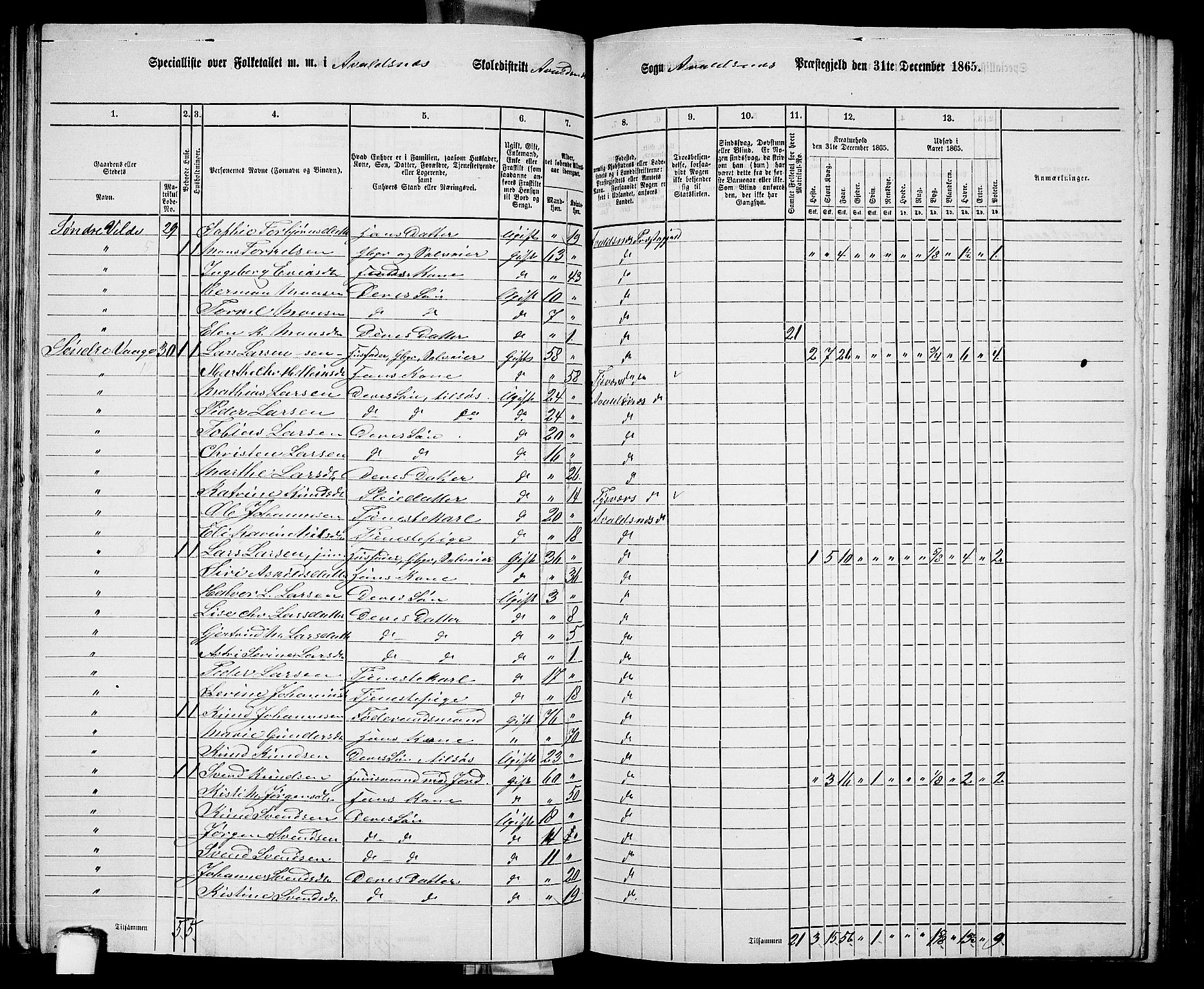 RA, 1865 census for Avaldsnes, 1865, p. 118