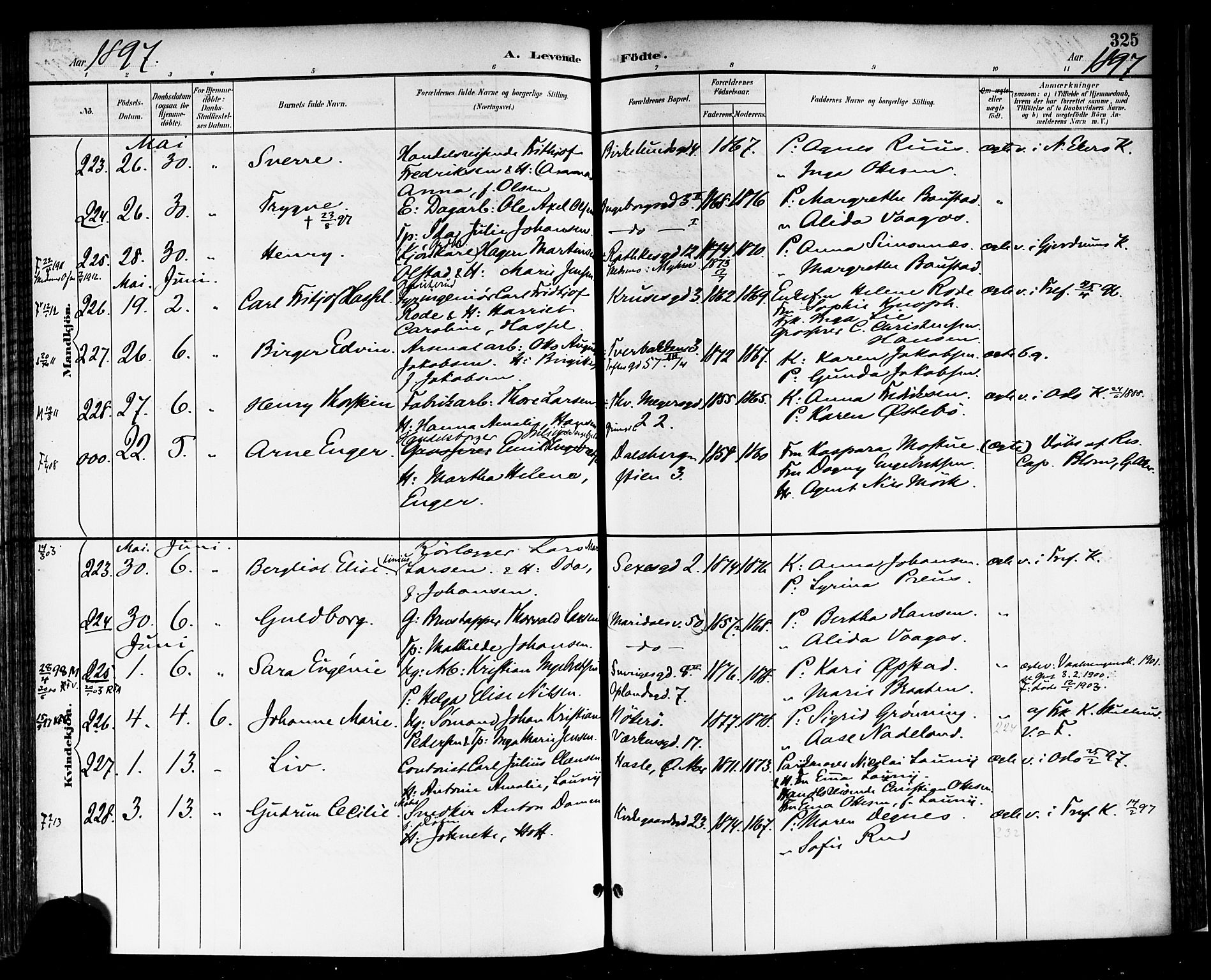 Rikshospitalet prestekontor Kirkebøker, AV/SAO-A-10309b/F/L0009: Parish register (official) no. 9, 1894-1897, p. 325