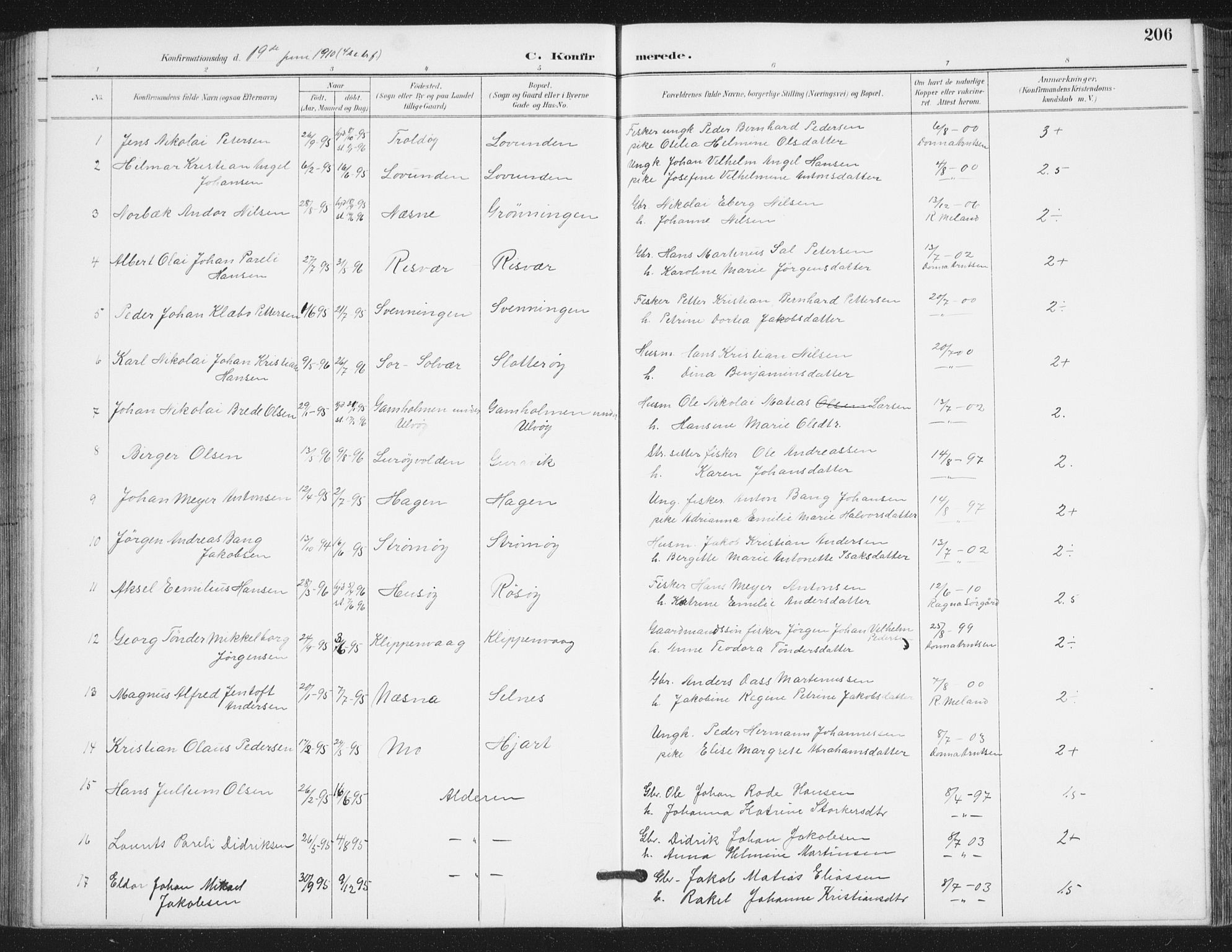 Ministerialprotokoller, klokkerbøker og fødselsregistre - Nordland, SAT/A-1459/839/L0573: Parish register (copy) no. 839C03, 1892-1917, p. 206