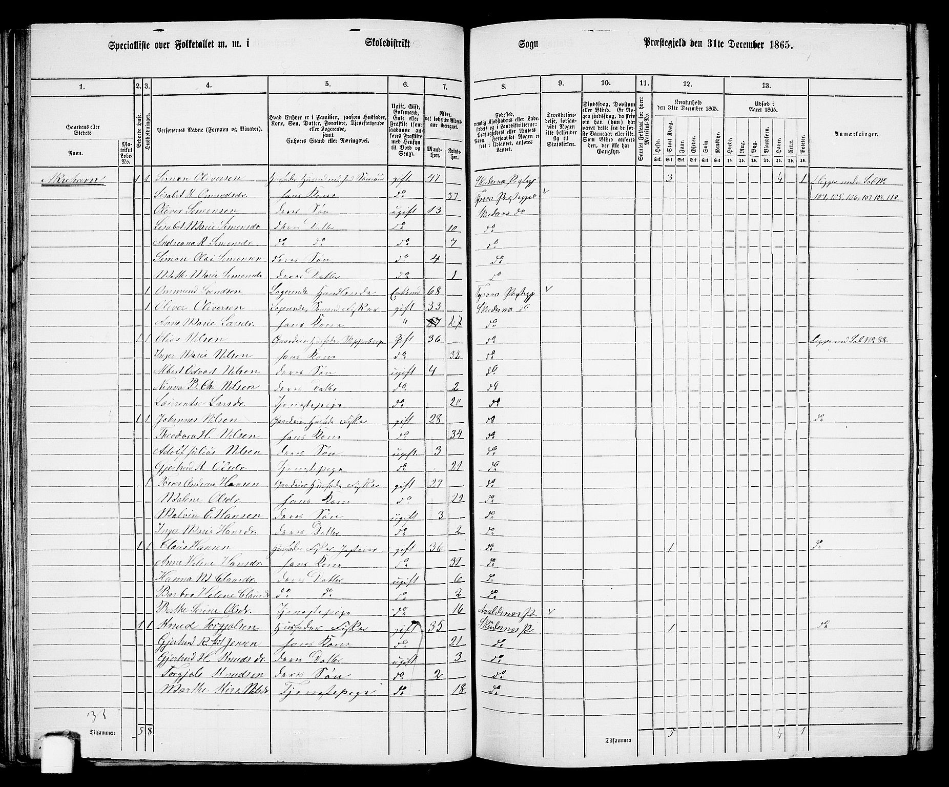 RA, 1865 census for Skudenes, 1865, p. 65