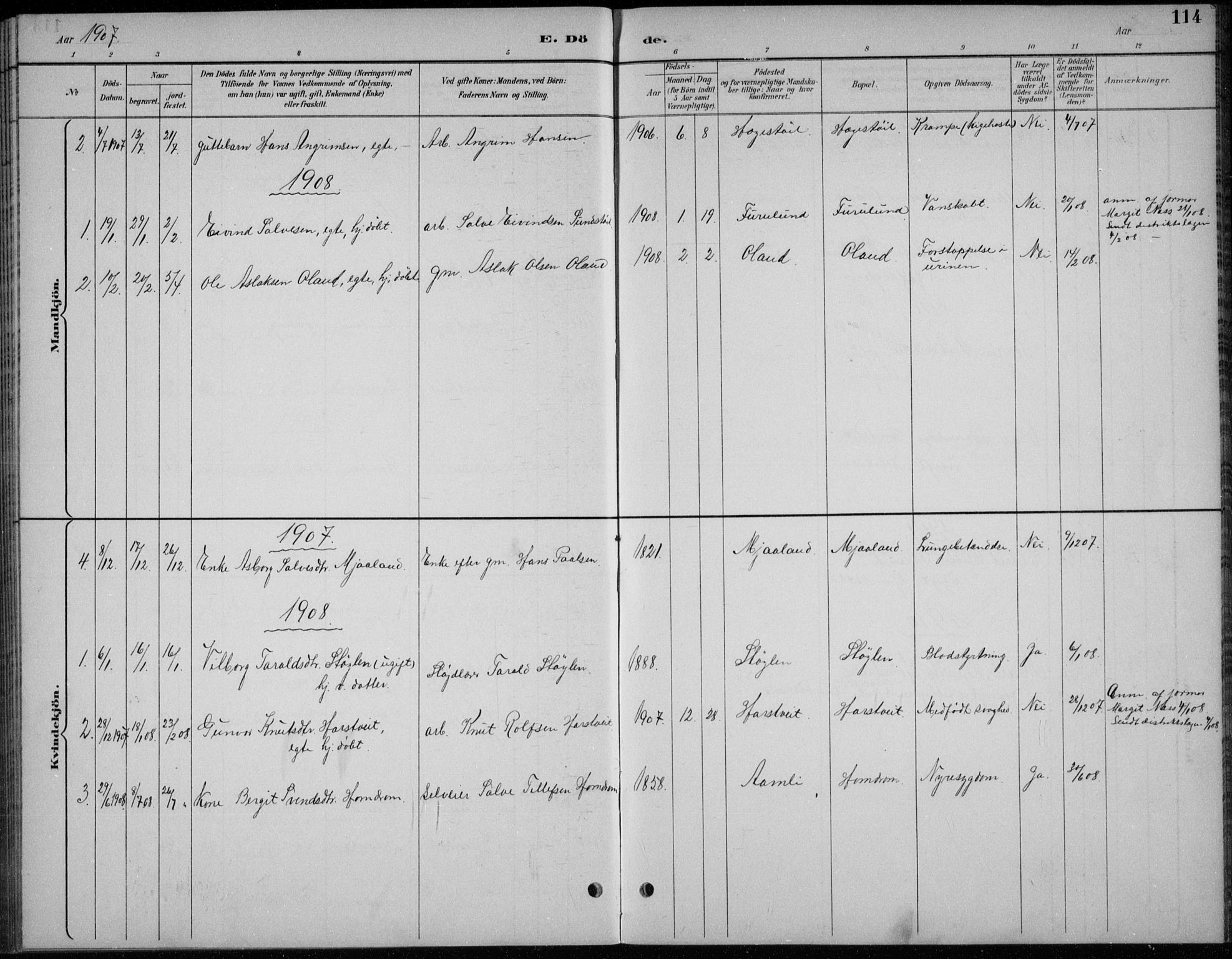 Åmli sokneprestkontor, AV/SAK-1111-0050/F/Fb/Fba/L0002: Parish register (copy) no. B 2, 1890-1912, p. 114