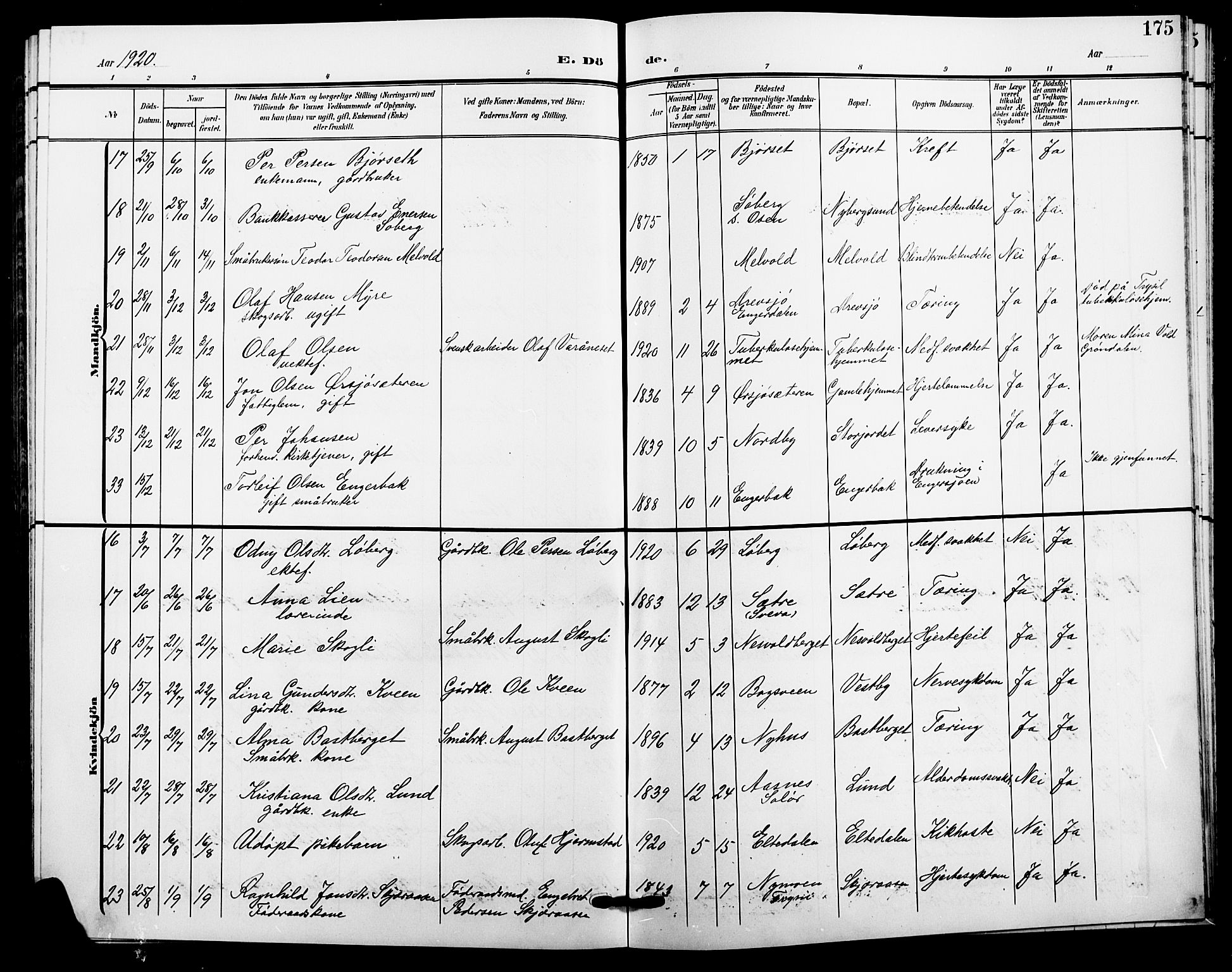 Trysil prestekontor, AV/SAH-PREST-046/H/Ha/Hab/L0009: Parish register (copy) no. 9, 1904-1924, p. 175