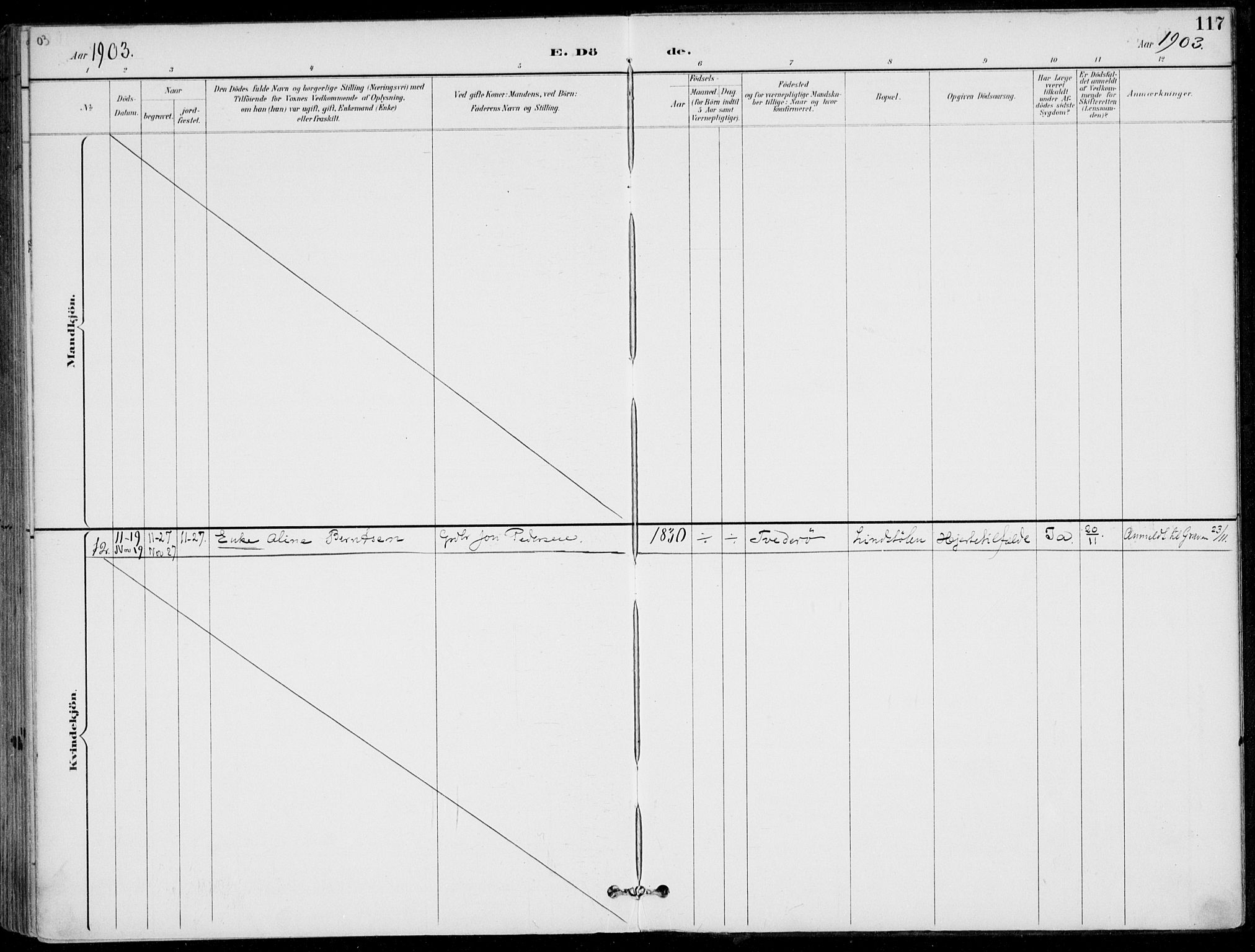 Austre Moland sokneprestkontor, AV/SAK-1111-0001/F/Fa/Faa/L0011: Parish register (official) no. A 11, 1894-1915, p. 117