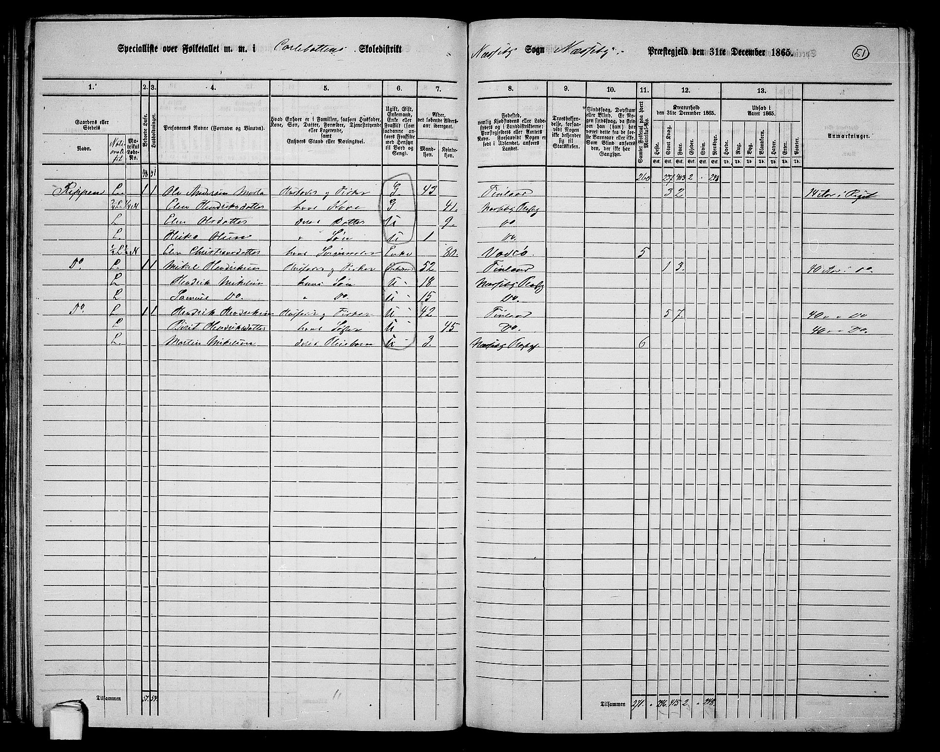 RA, 1865 census for Nesseby, 1865, p. 41