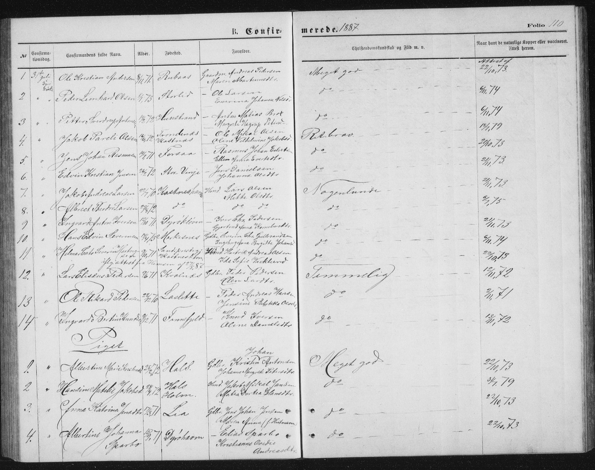 Tranøy sokneprestkontor, SATØ/S-1313/I/Ia/Iab/L0013klokker: Parish register (copy) no. 13, 1874-1896, p. 110
